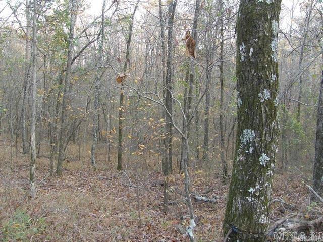 P.O. Box 725 P.O. Box  Mena, AR