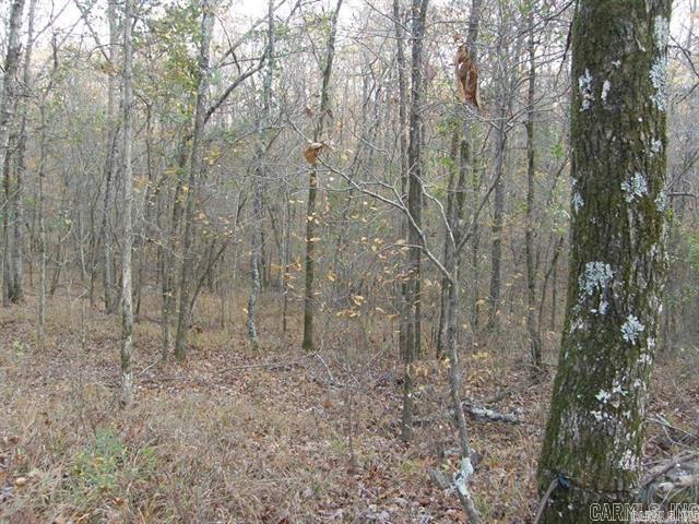 P.O. Box 725 P.O. Box  Mena, AR