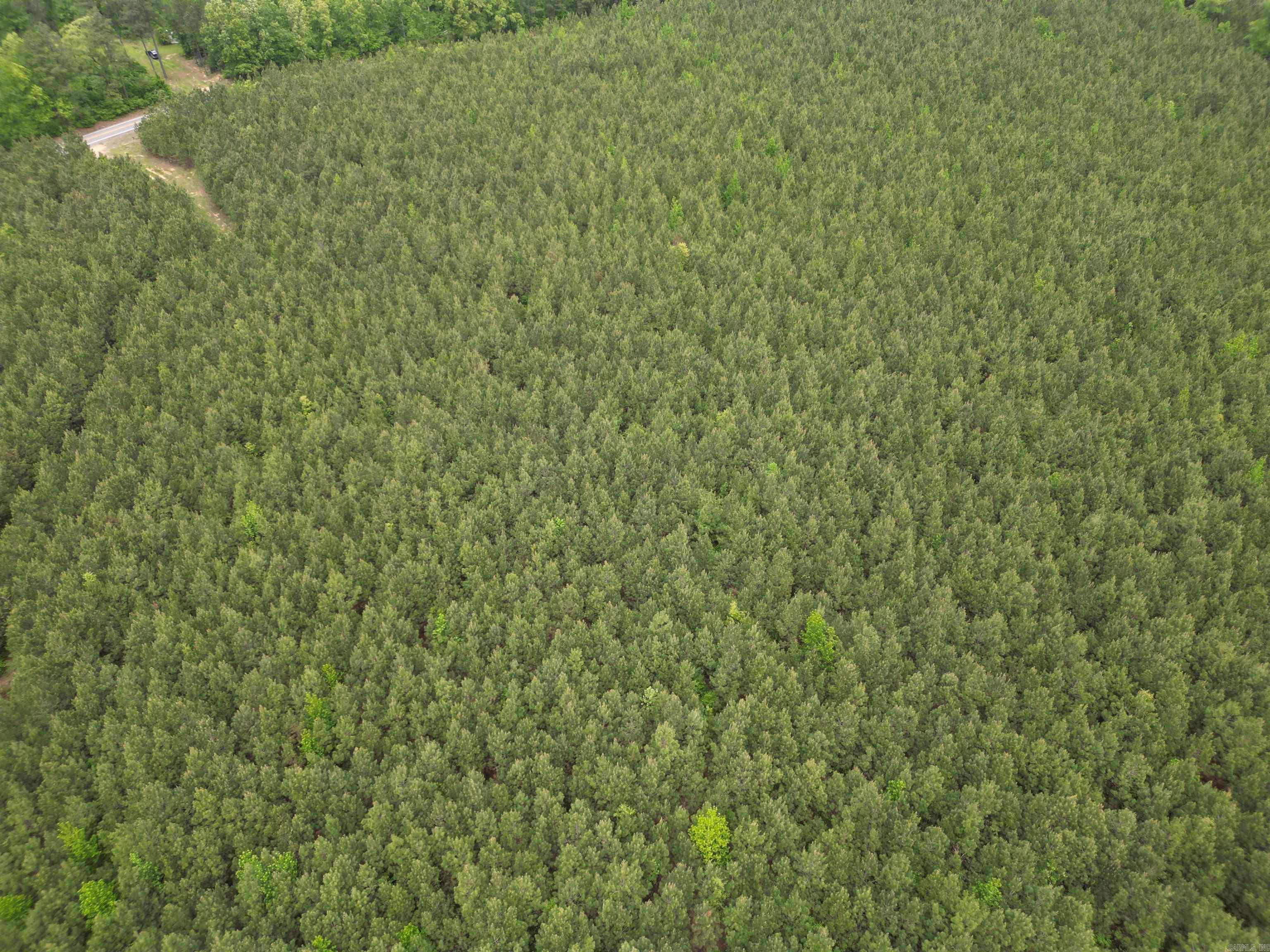 Parcel 3 Highway 172  Monticello, AR