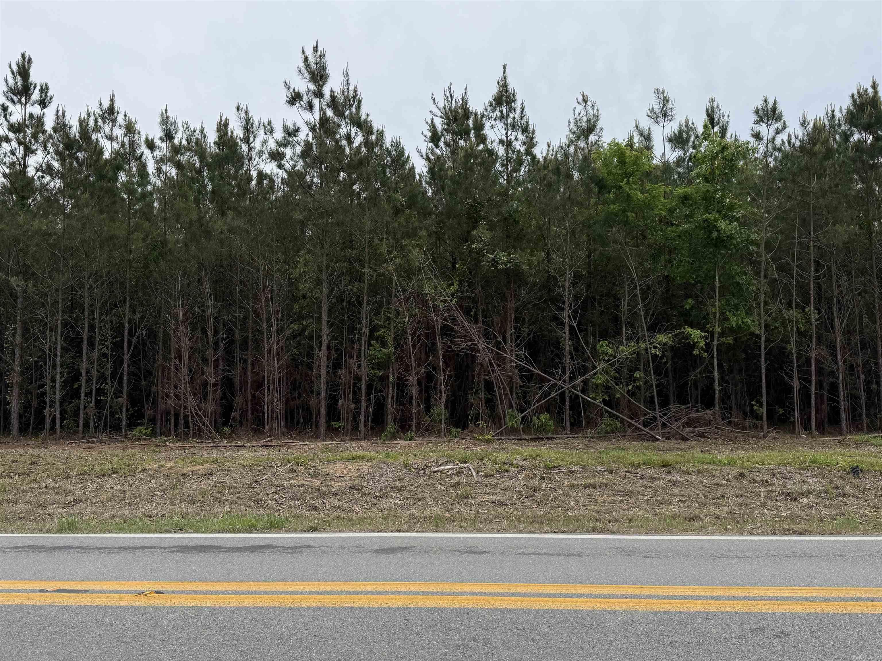 Parcel 3 Highway 172  Monticello, AR