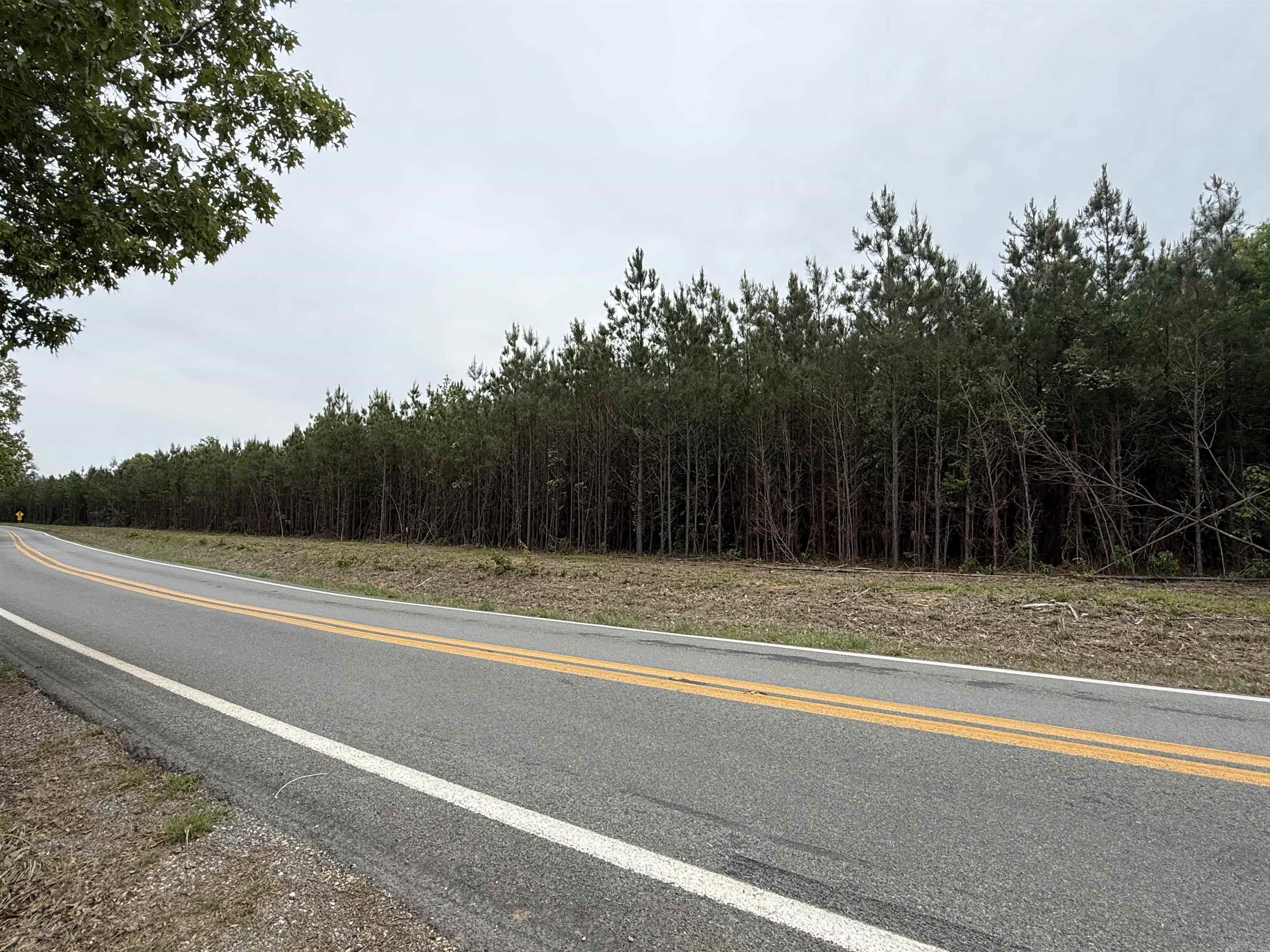 Parcel 3 Highway 172  Monticello, AR