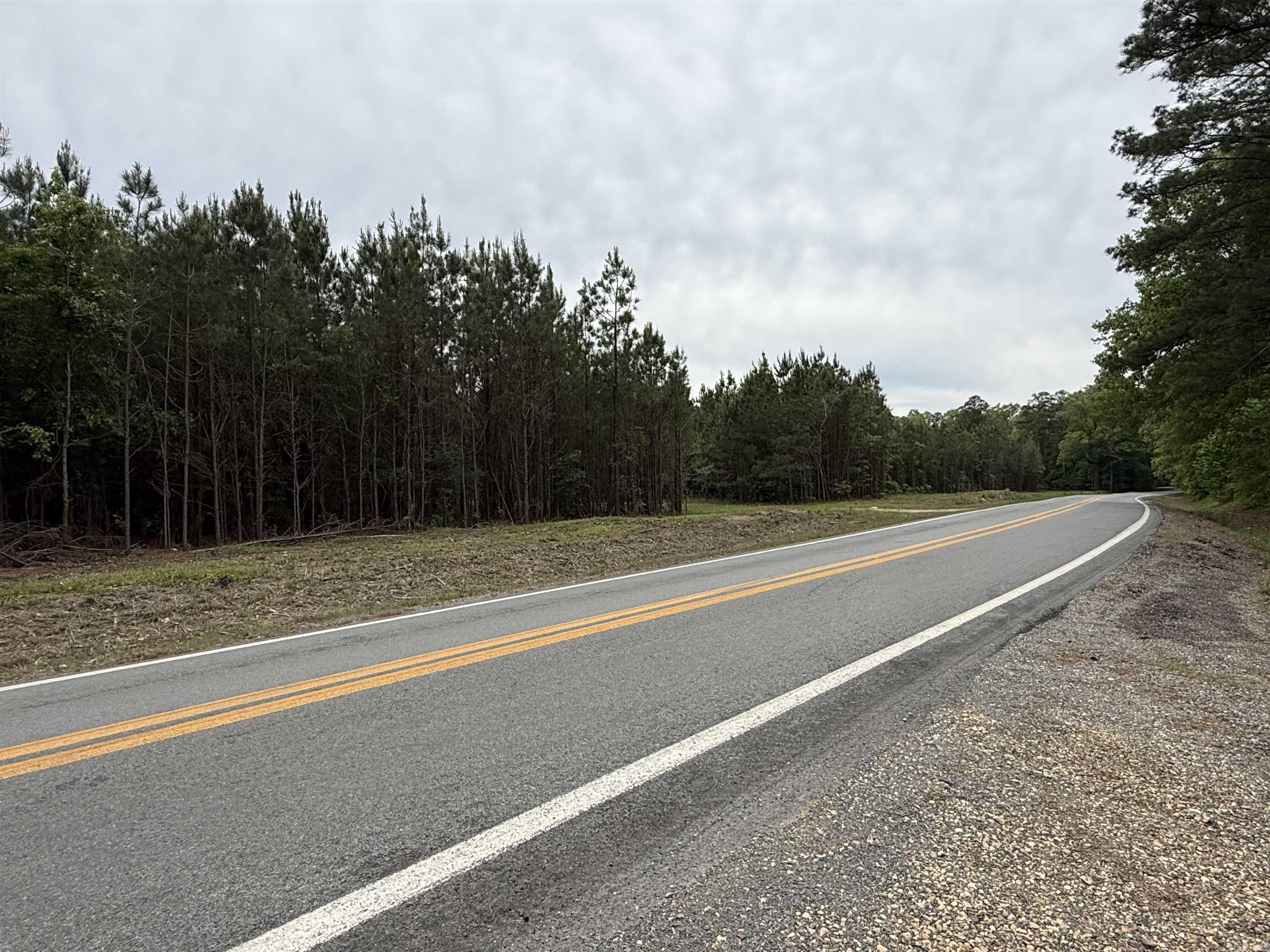Parcel 4 Highway 172  Monticello, AR
