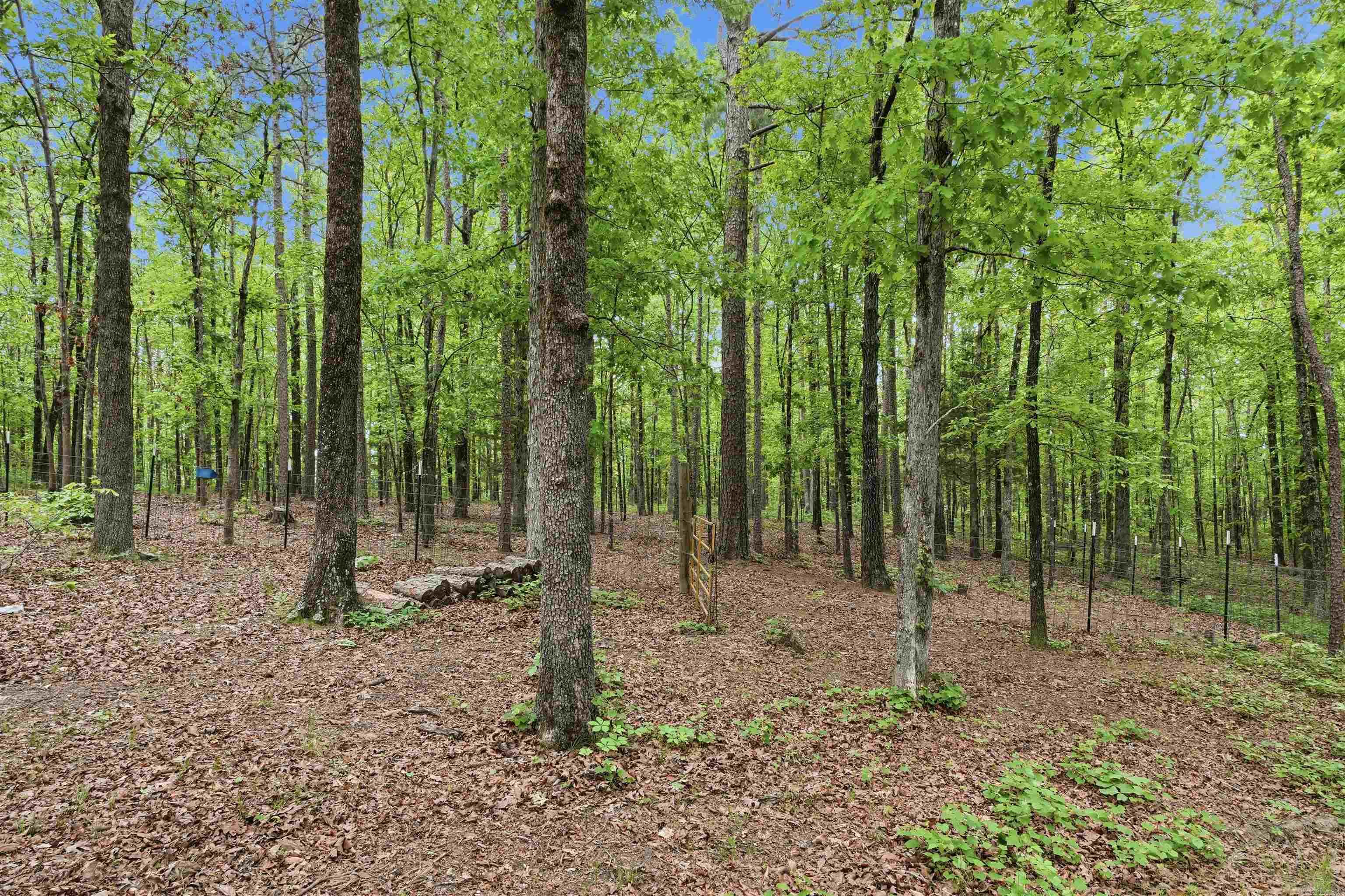 1230 Blakey  Heber Springs, AR