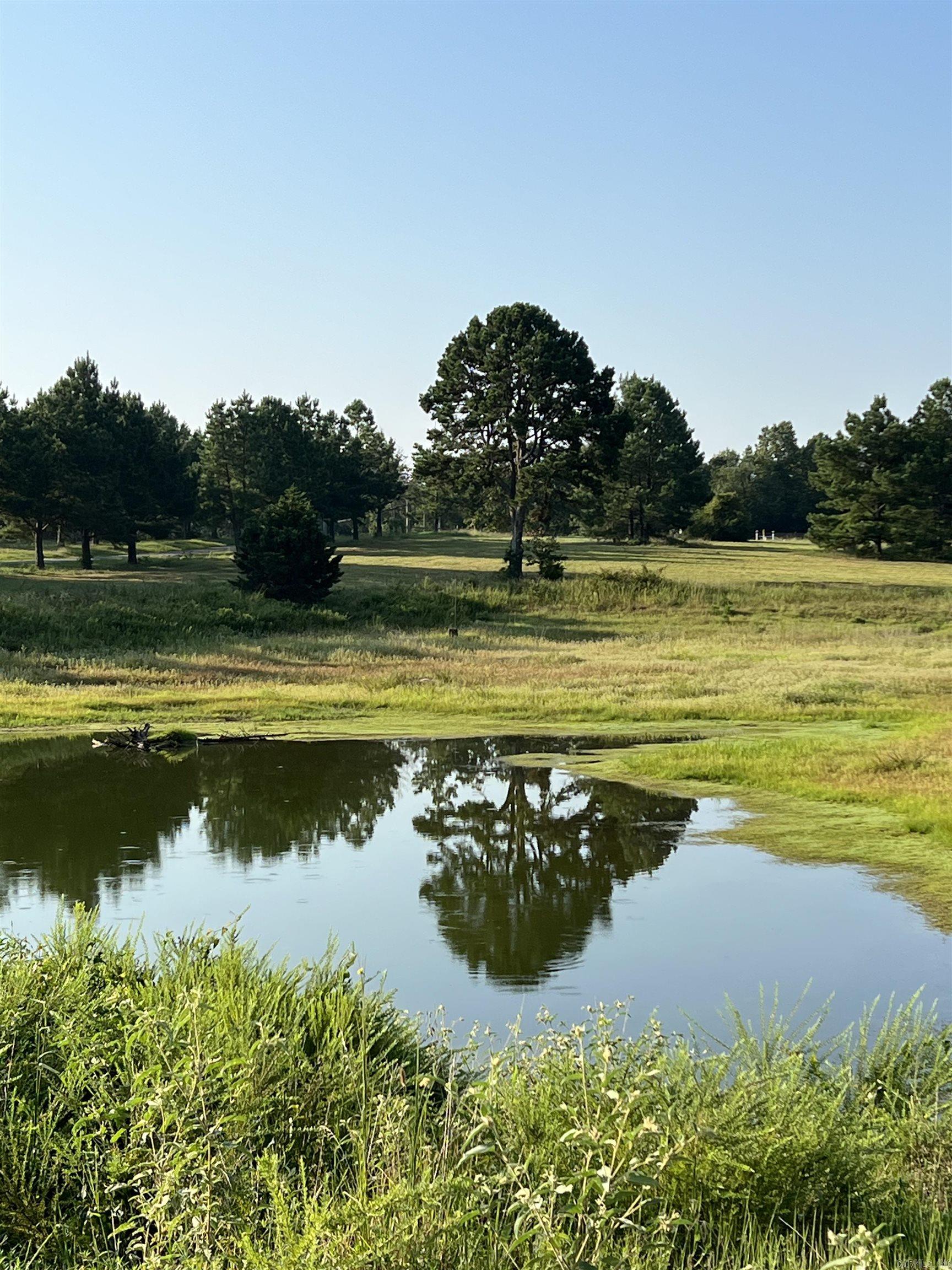 207 Spring  Searcy, AR