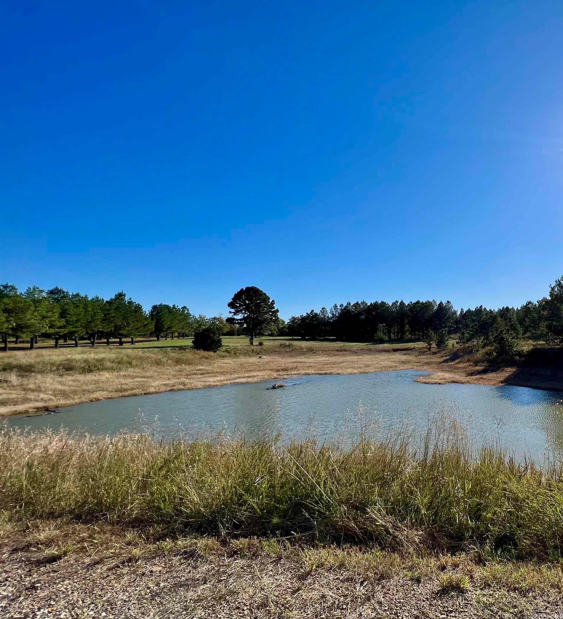 207 Spring  Searcy, AR