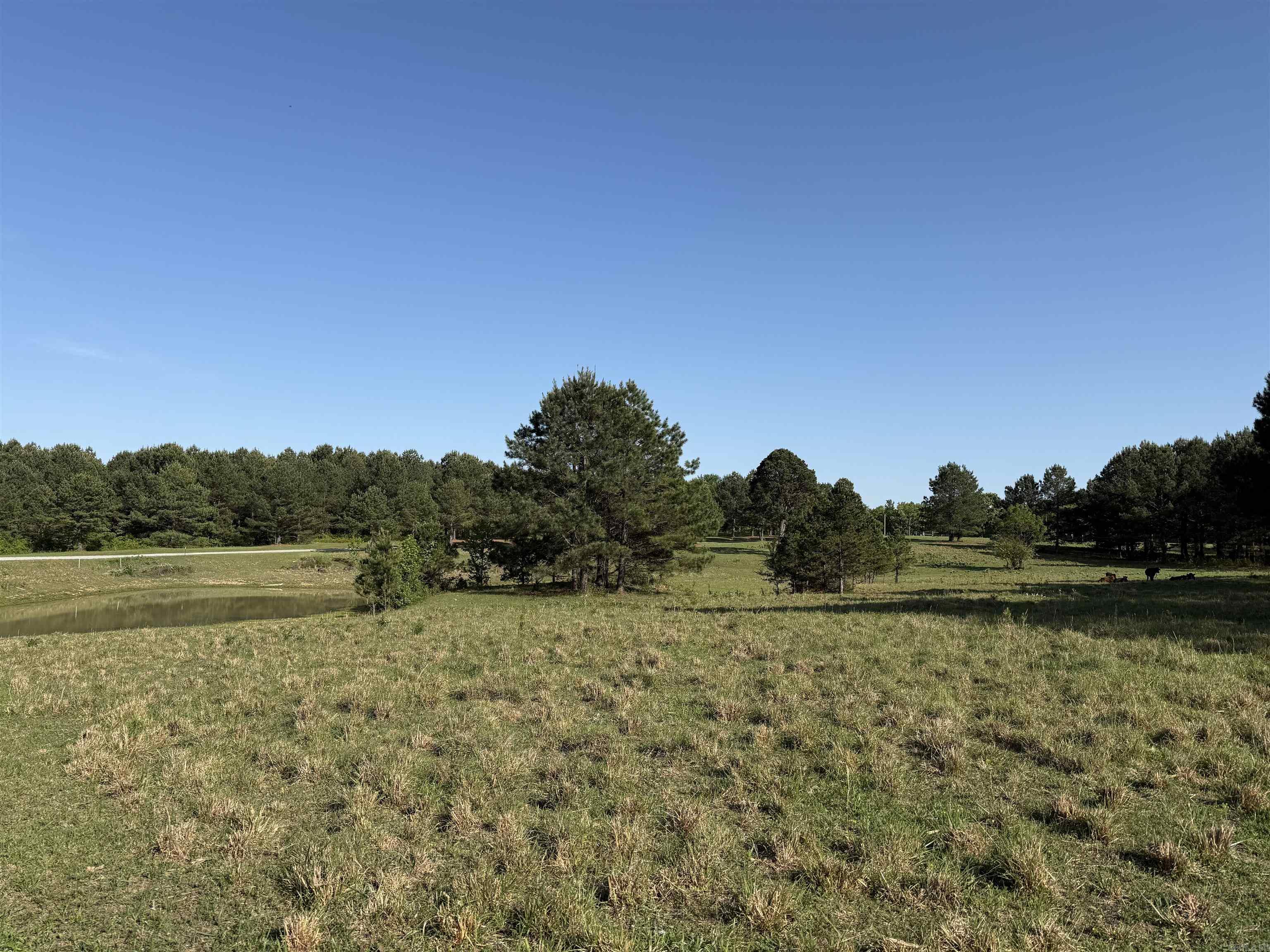 207 Spring  Searcy, AR