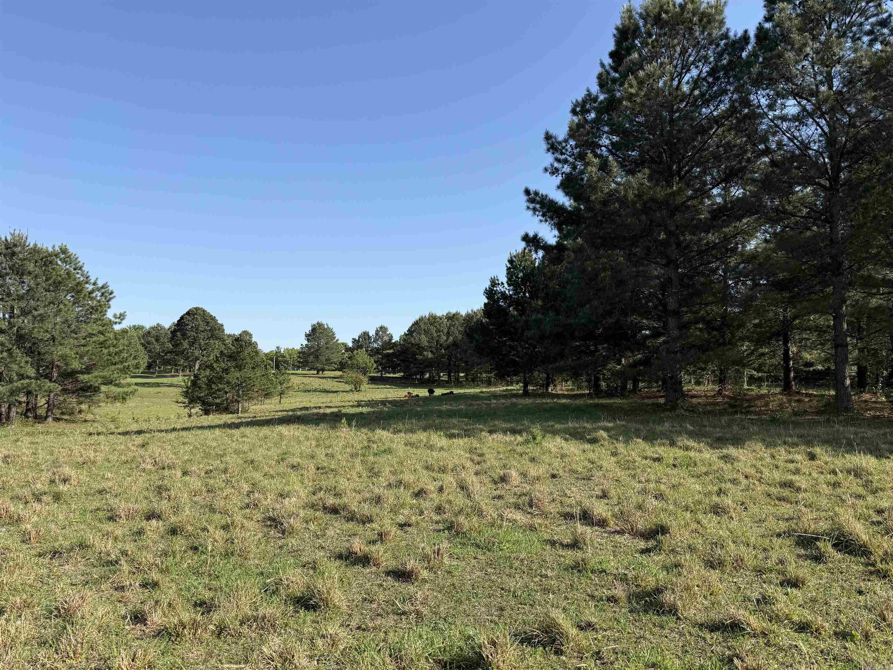 207 Spring  Searcy, AR