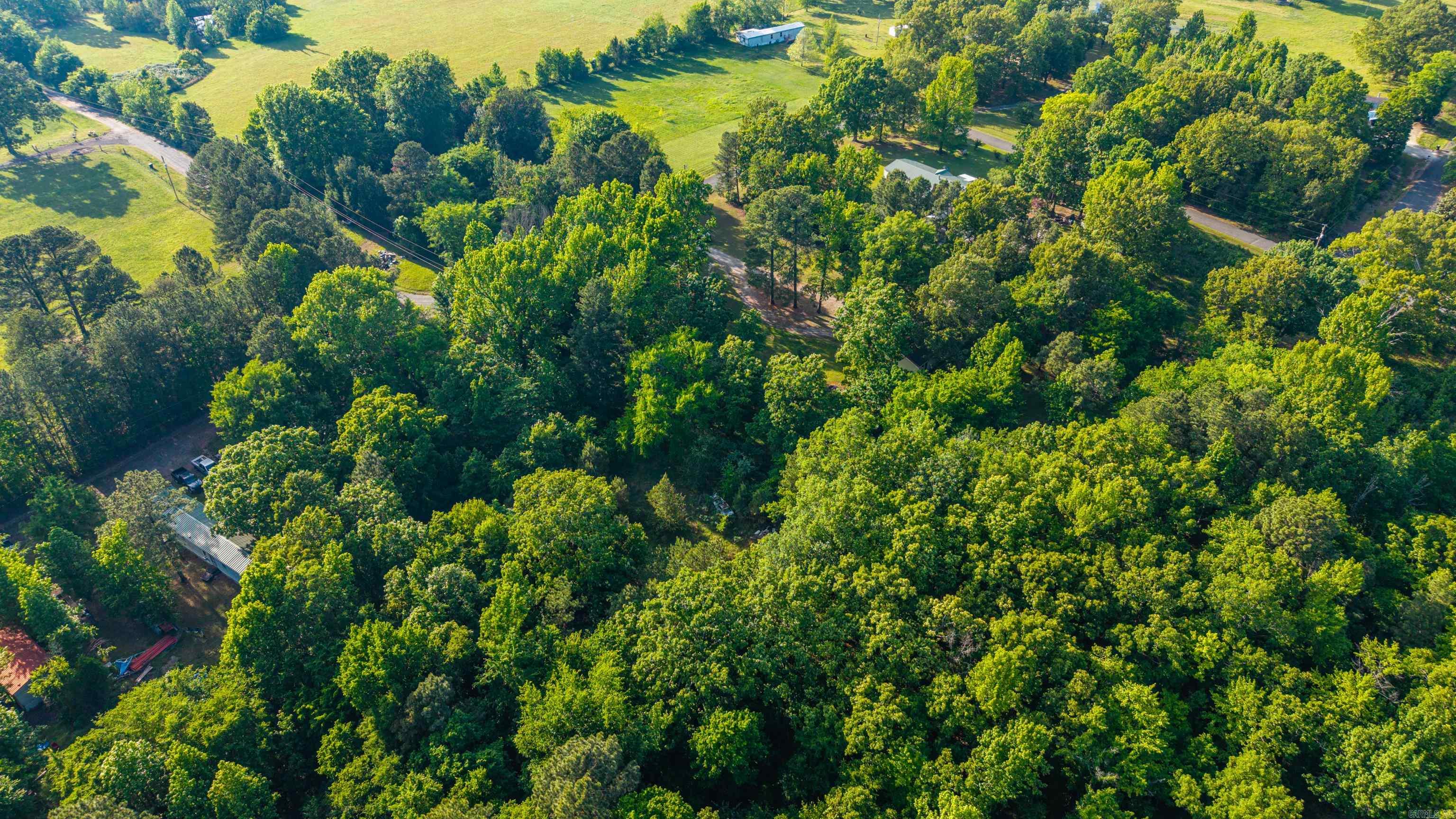 159 Benjamin  Pearcy, AR