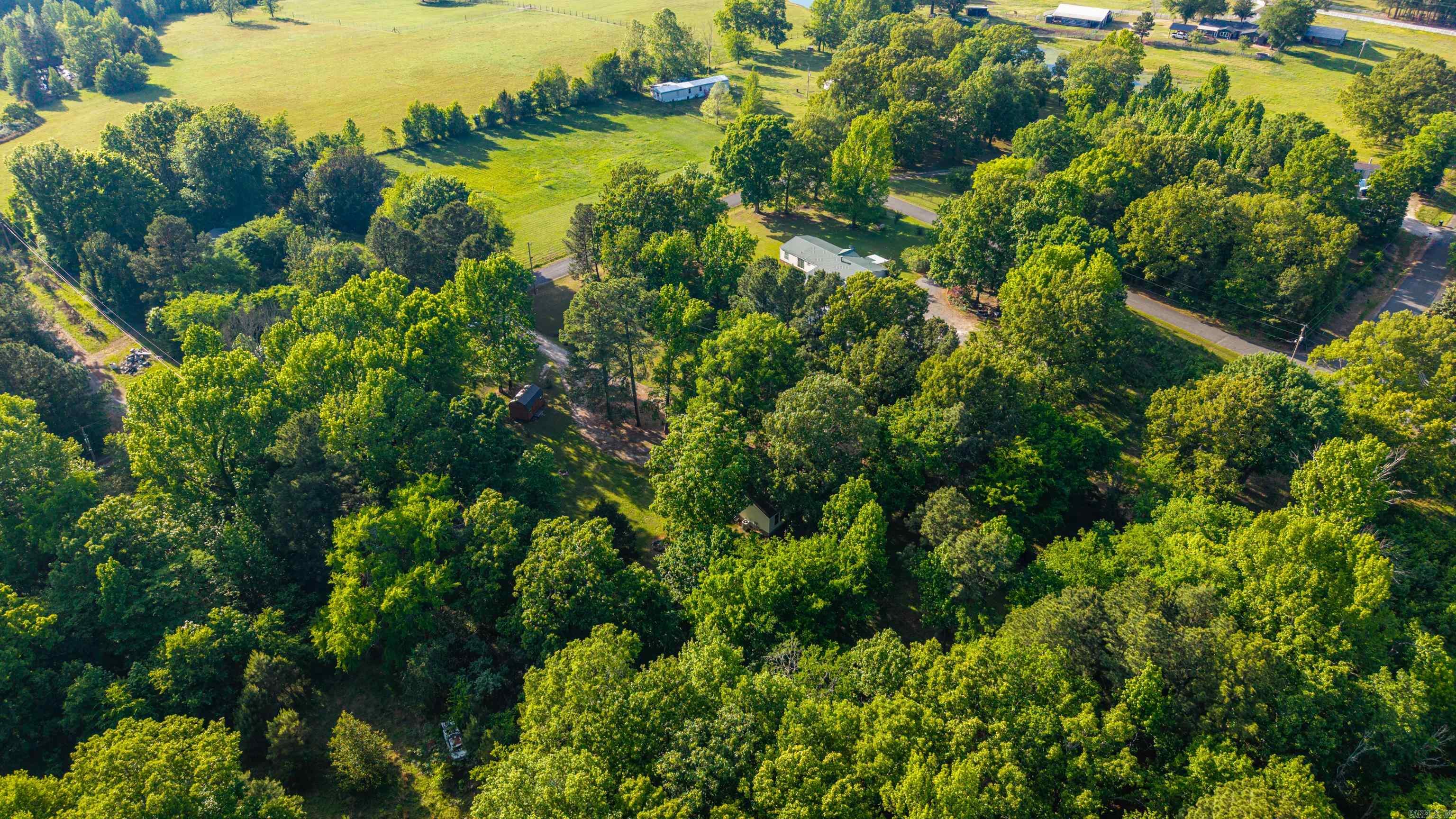 159 Benjamin  Pearcy, AR