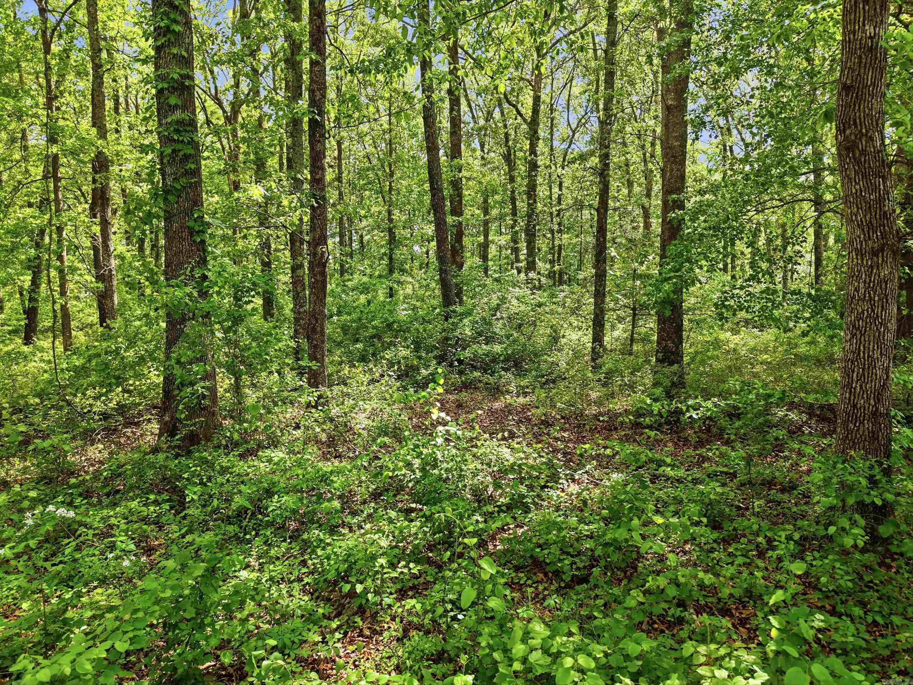 18 Deerfield  Vilonia, AR