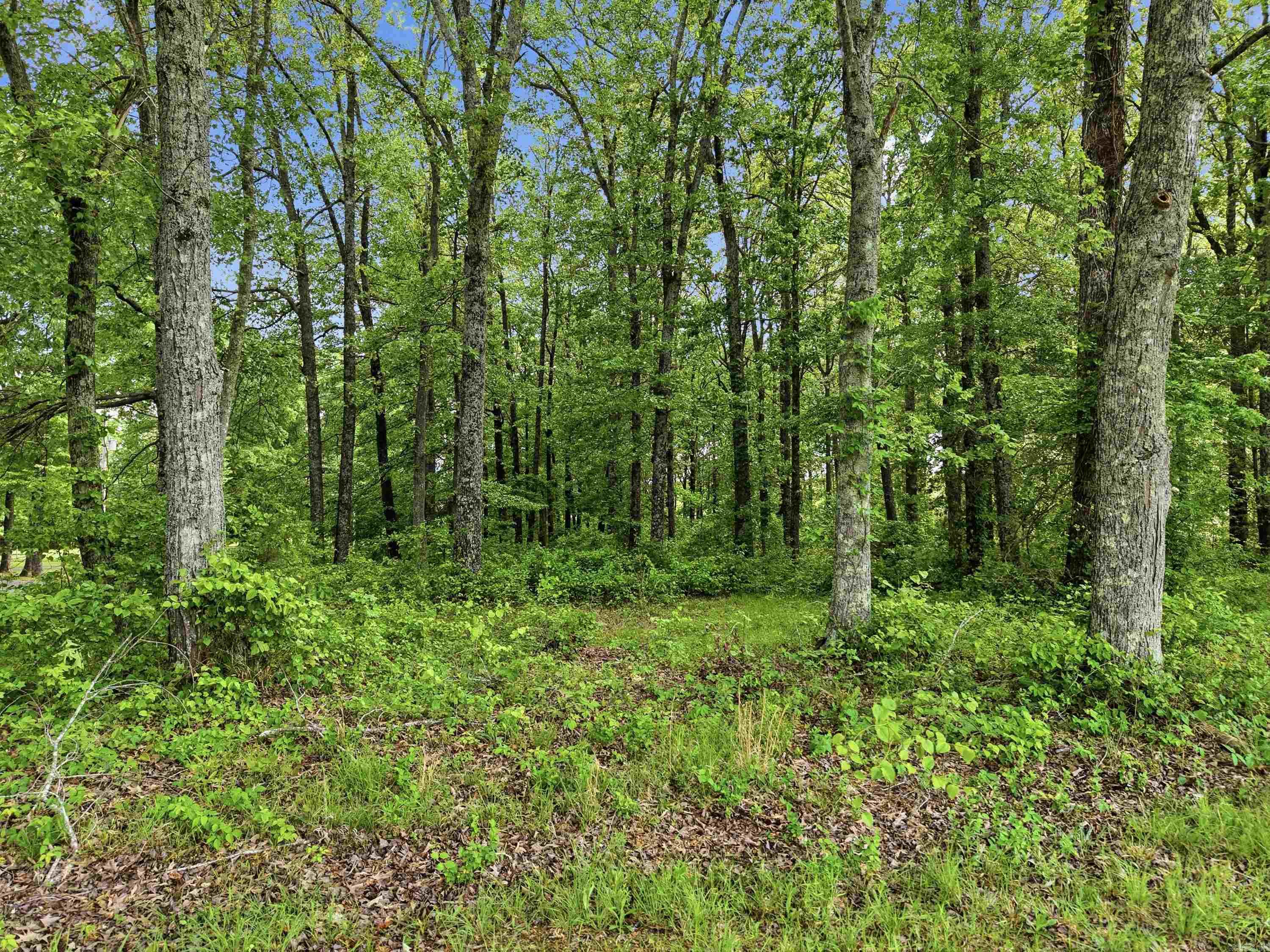 18 Deerfield  Vilonia, AR