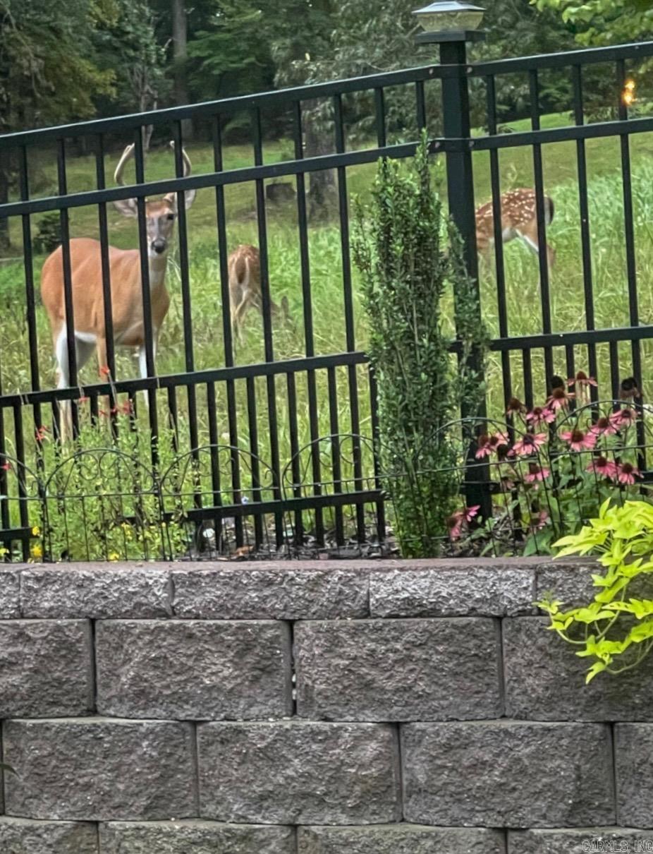 2319 Abigail Drive  Bryant, AR