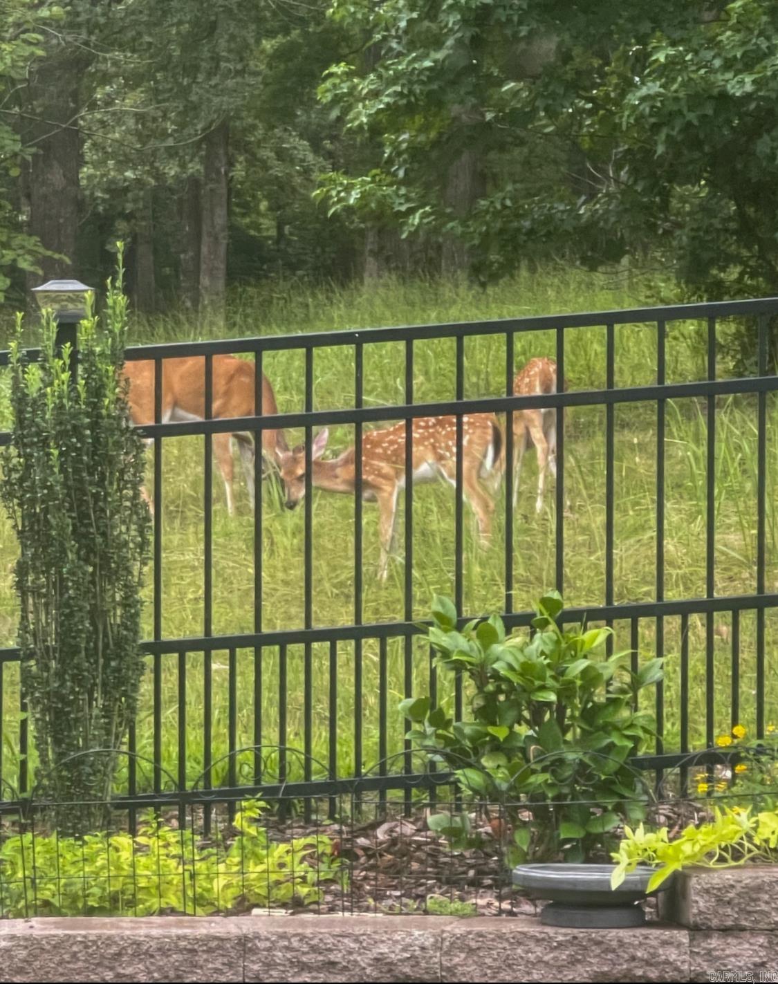 2319 Abigail Drive  Bryant, AR