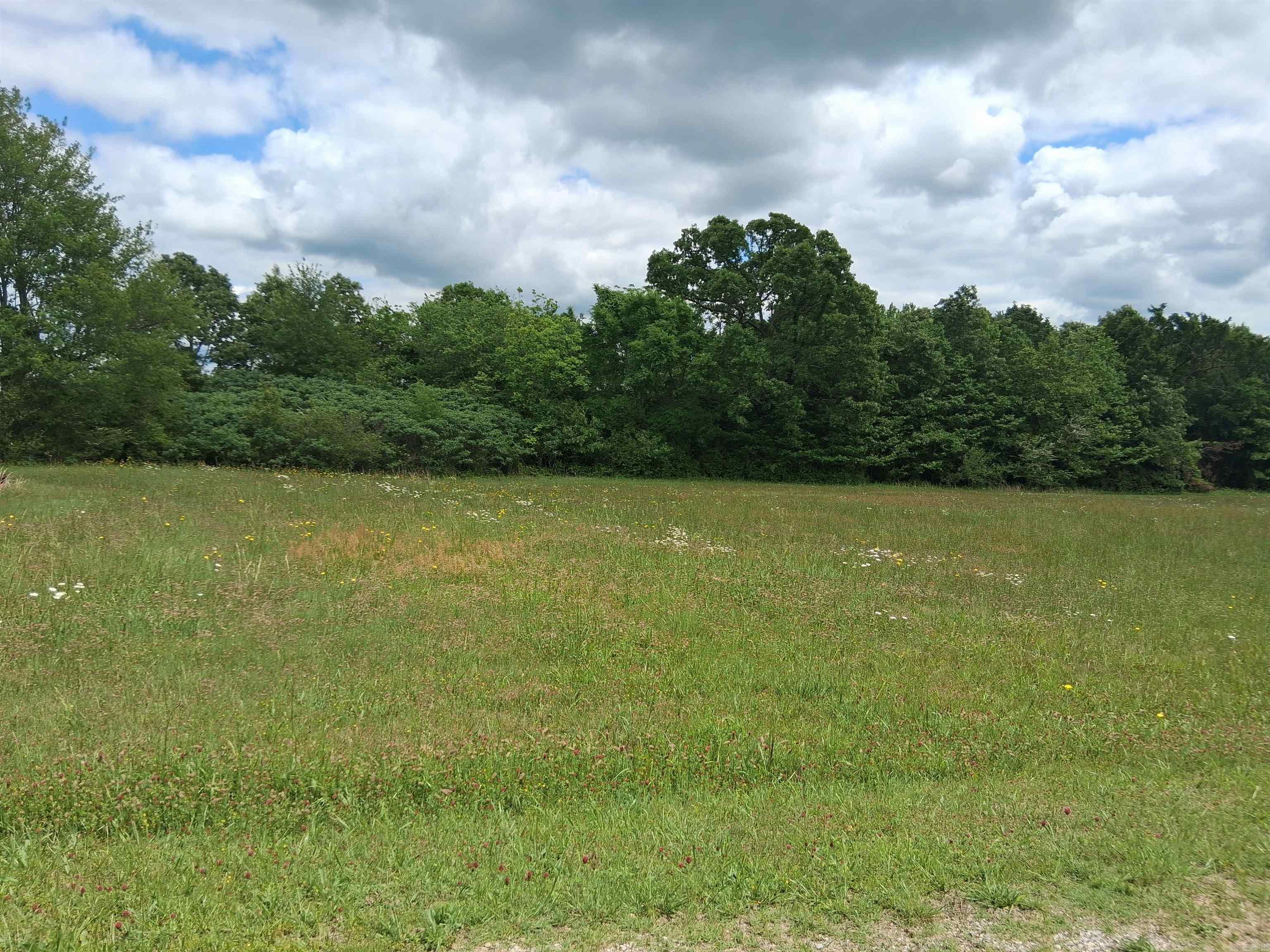 206 MEADOW VIEW DR  Mountain View, AR