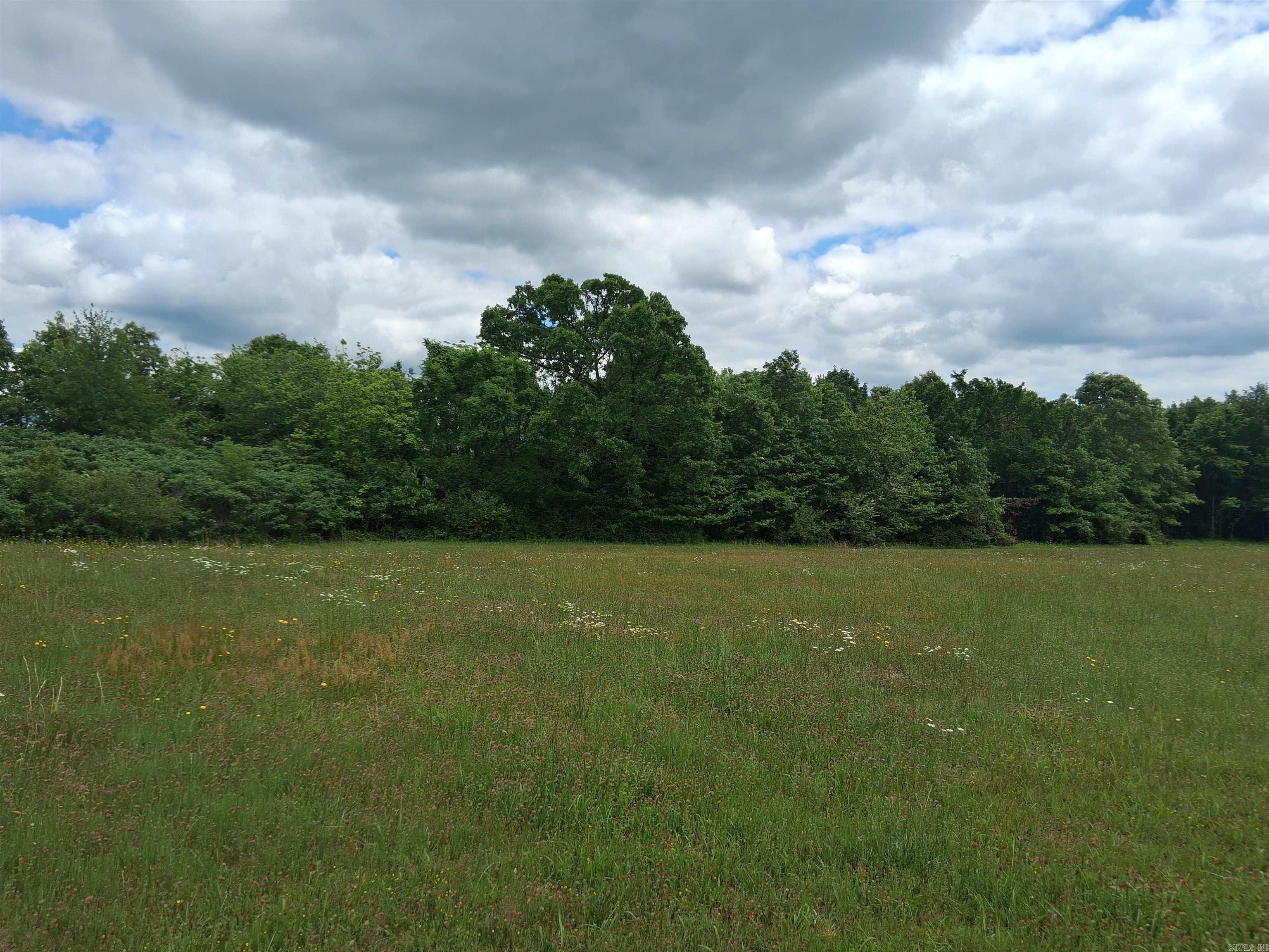 206 MEADOW VIEW DR  Mountain View, AR