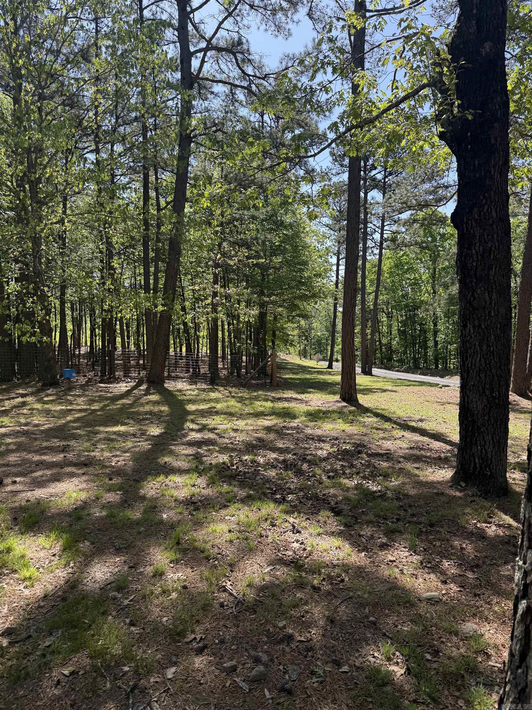 4429 OYLER  Clinton, AR