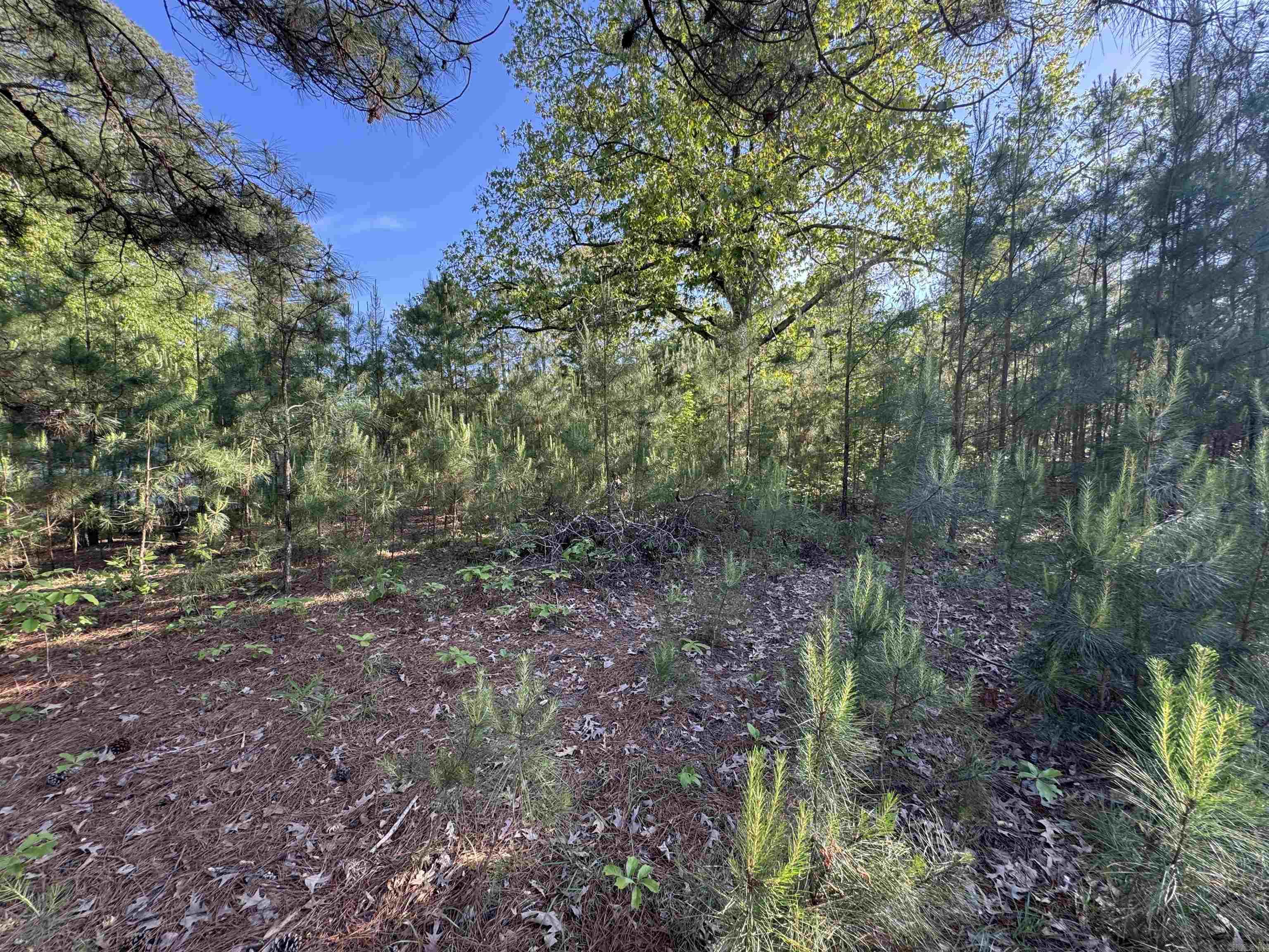 129 Ouachita 502  Camden, AR