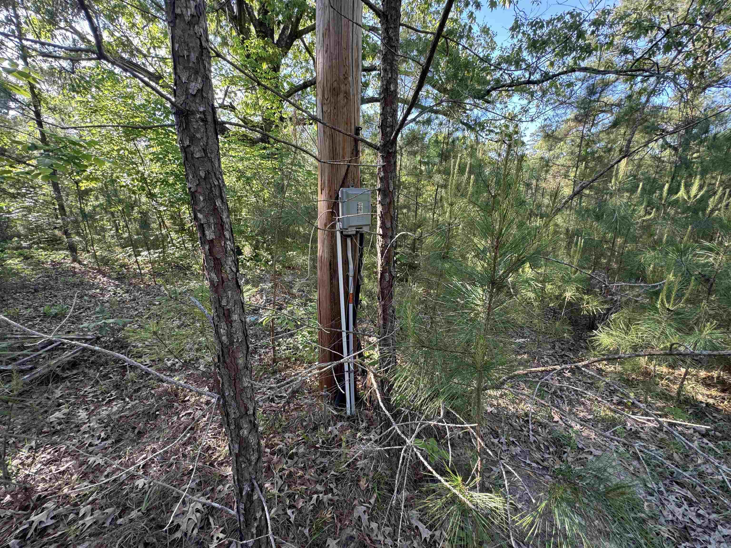 129 Ouachita 502  Camden, AR