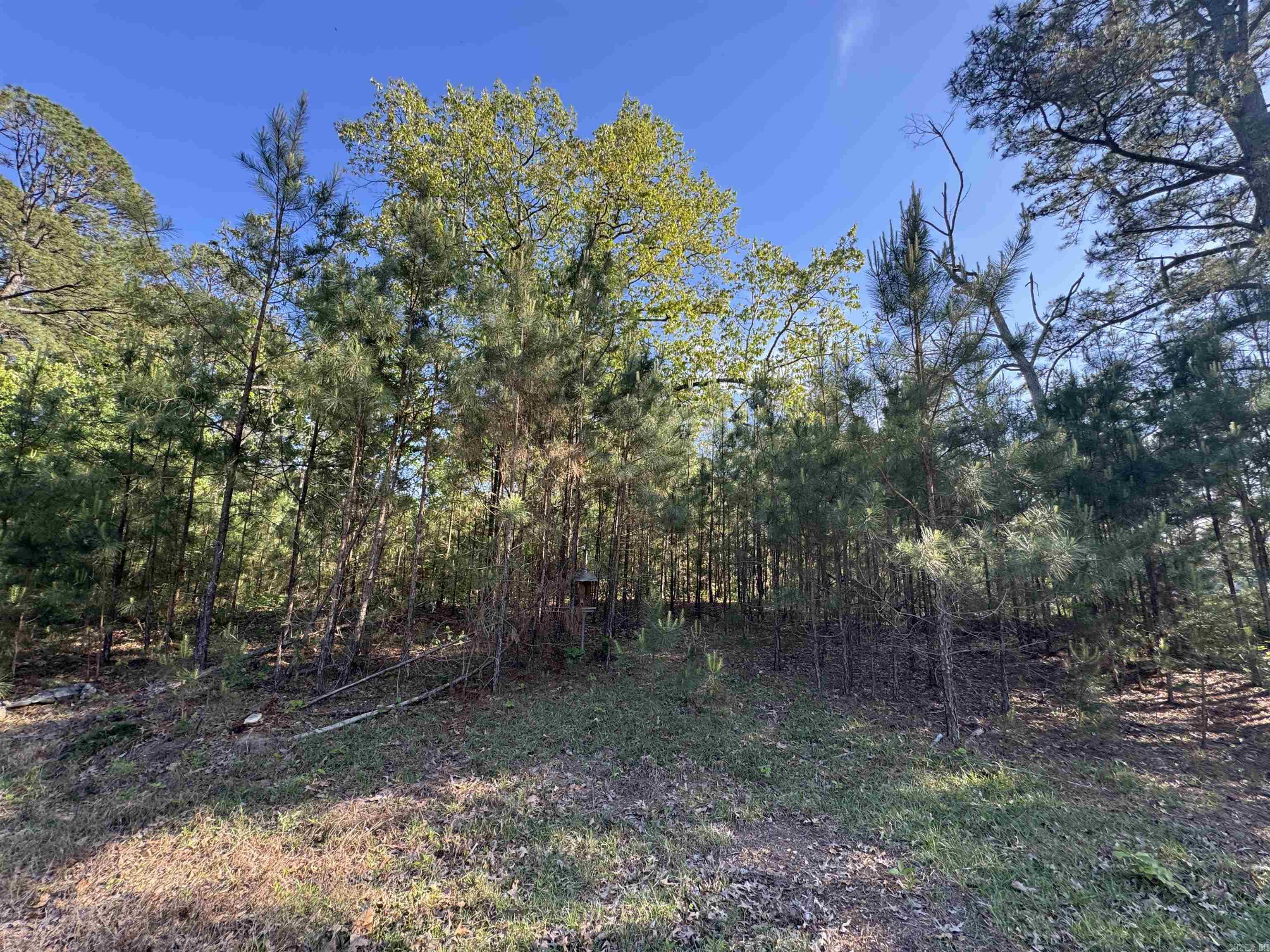 129 Ouachita 502  Camden, AR