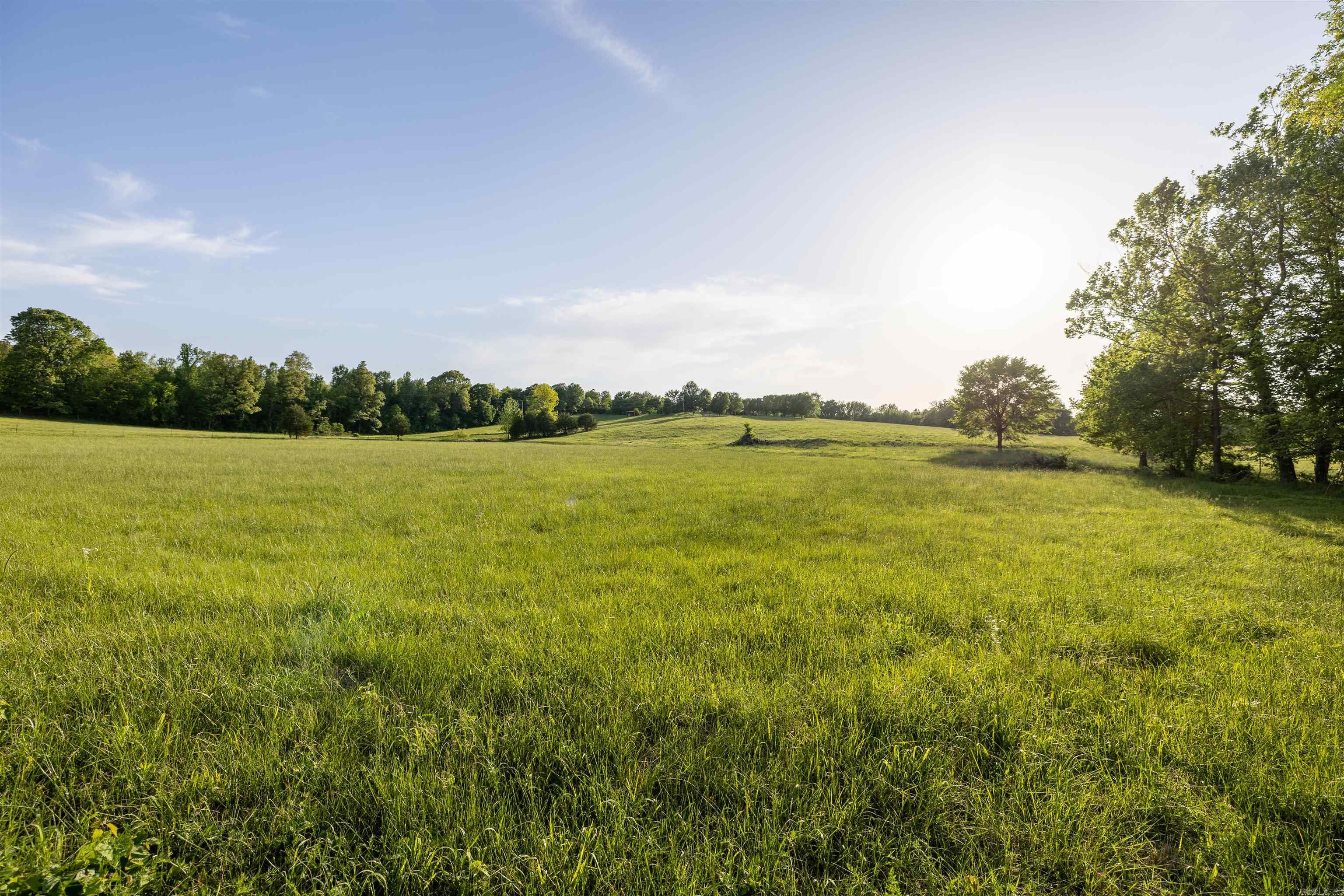 2065 County Road 461  Pollard, AR