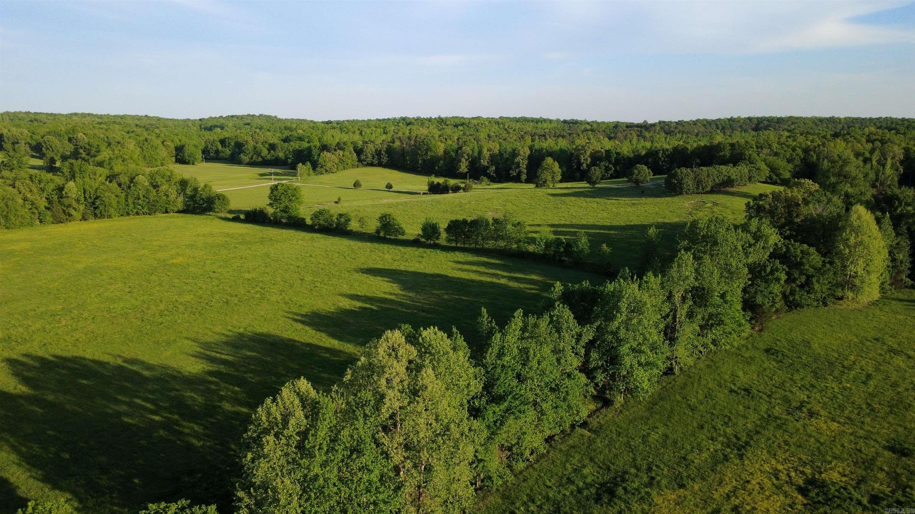 2065 County Road 461  Pollard, AR