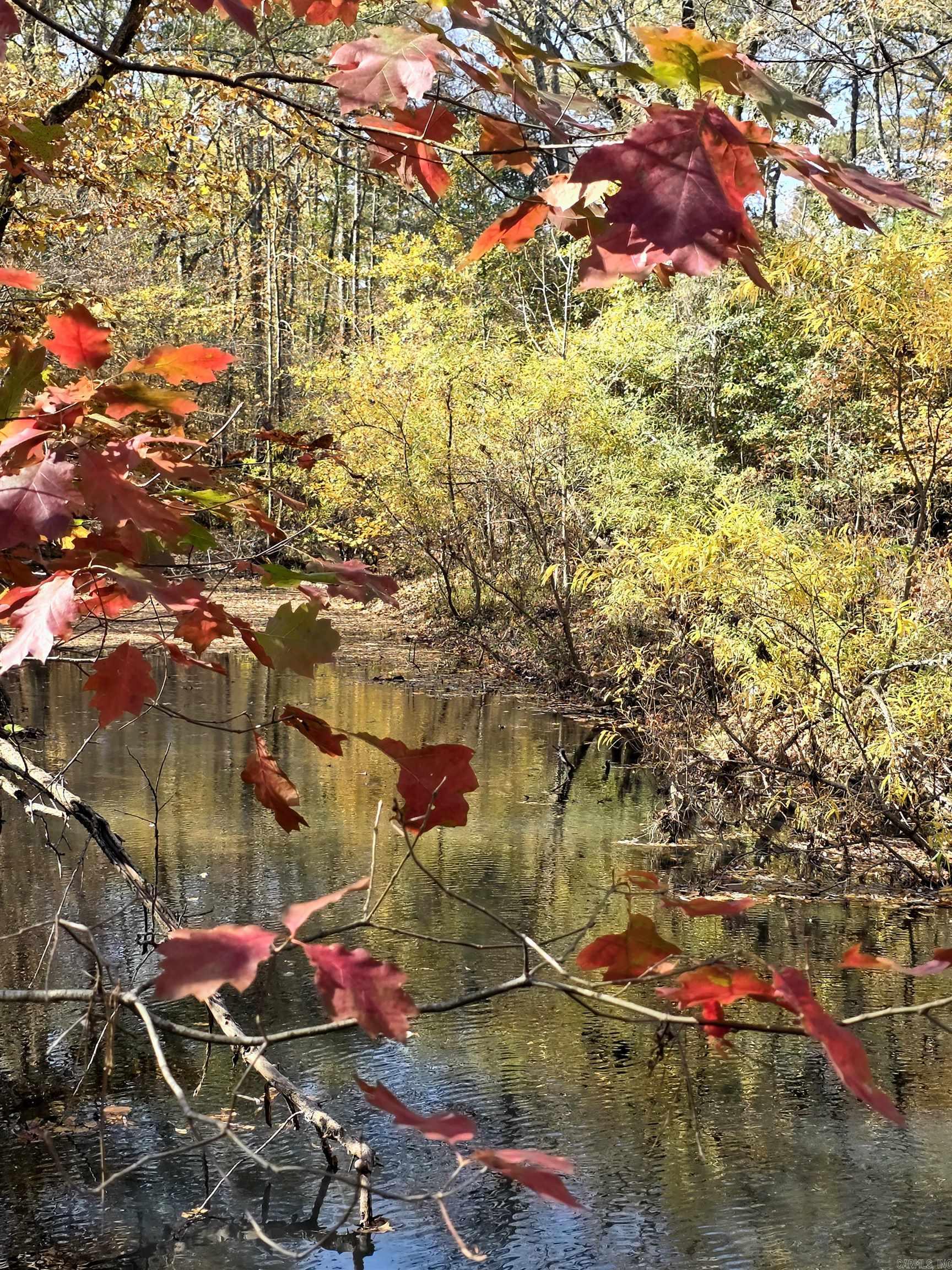 149 Bugler  Pearcy, AR