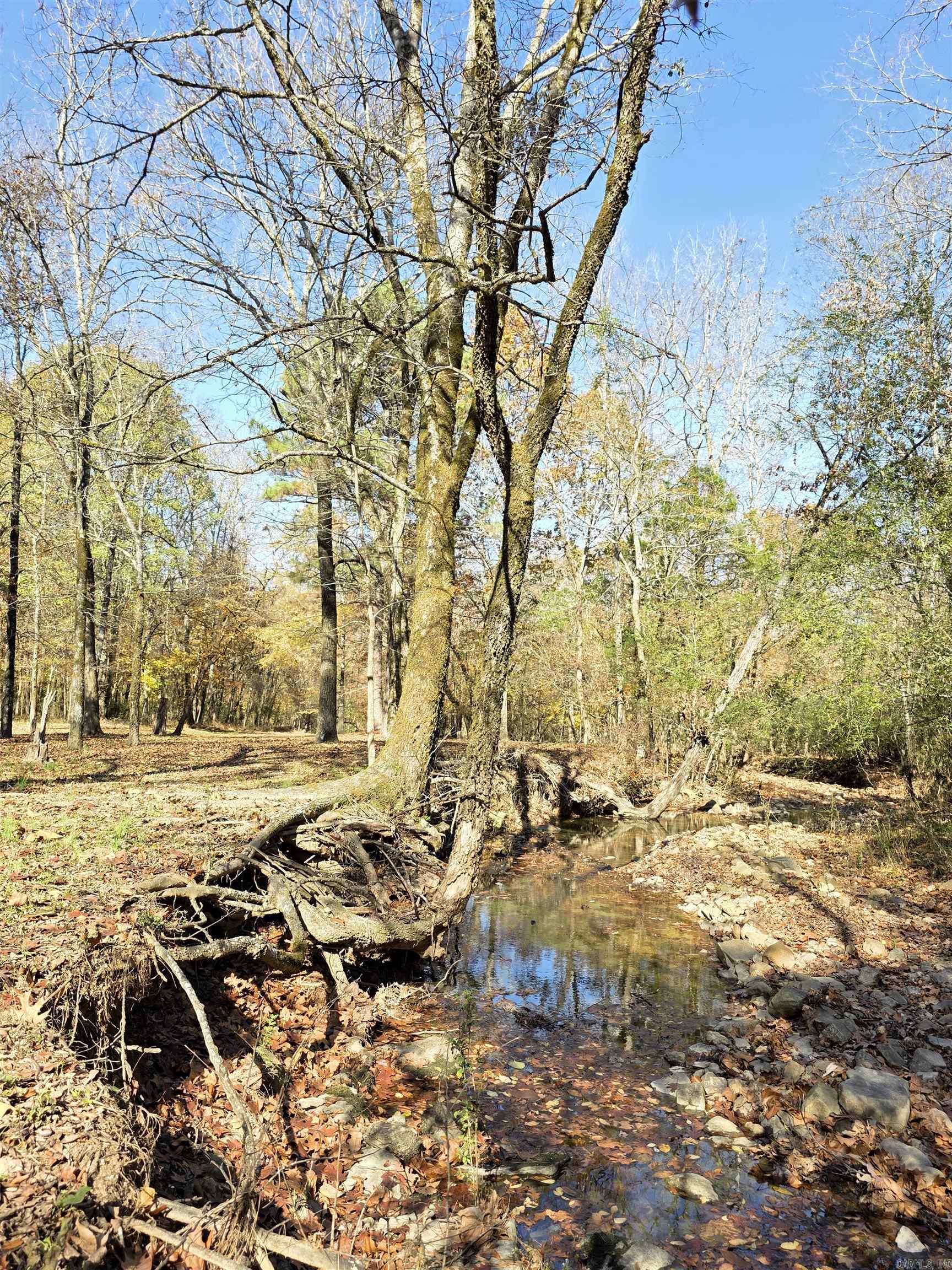 149 Bugler  Pearcy, AR