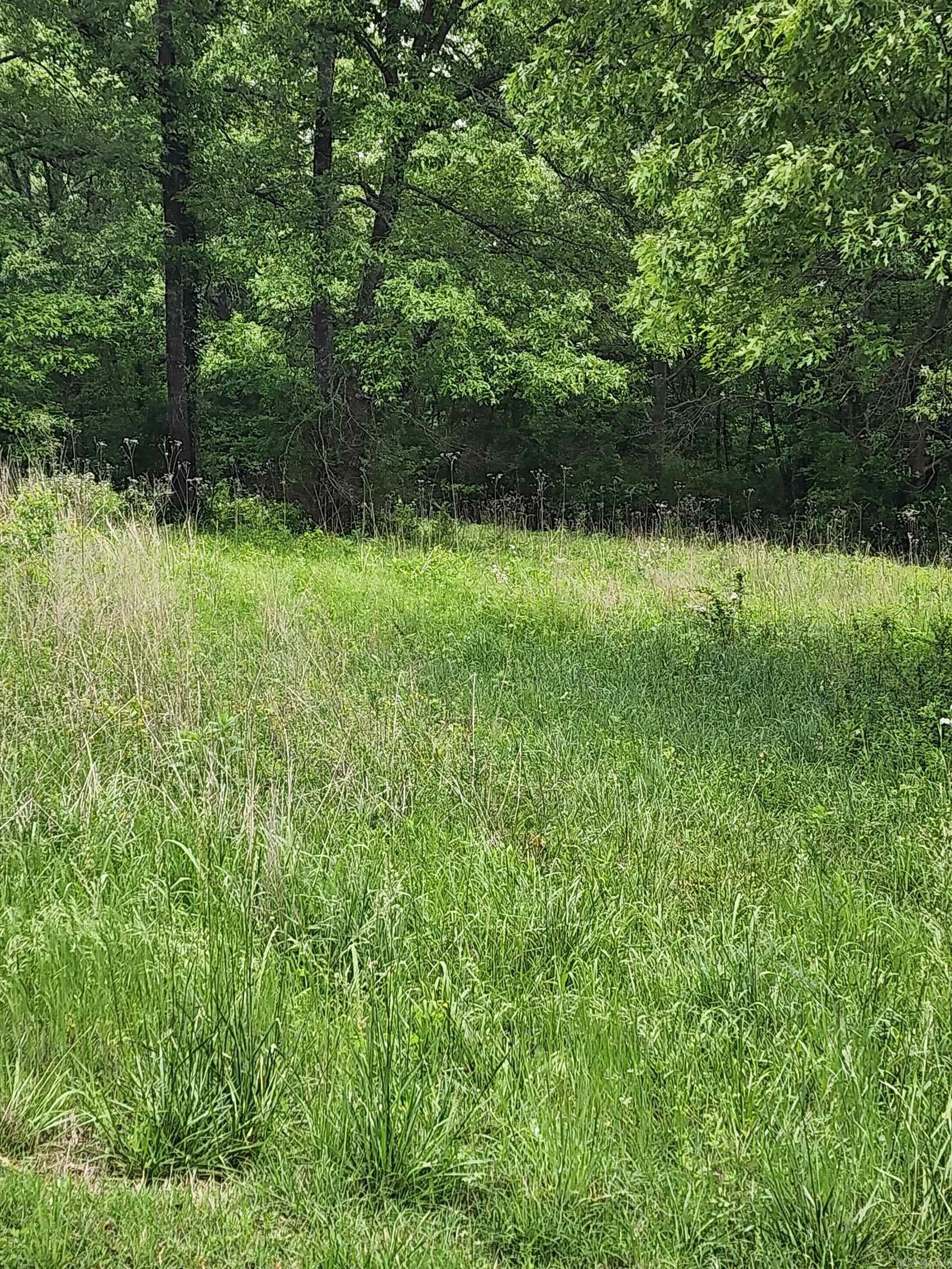  Fox Chase  Flippin, AR