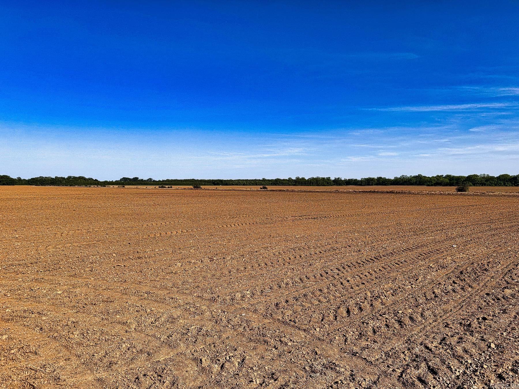 000 Arm Lake  Bradford, AR