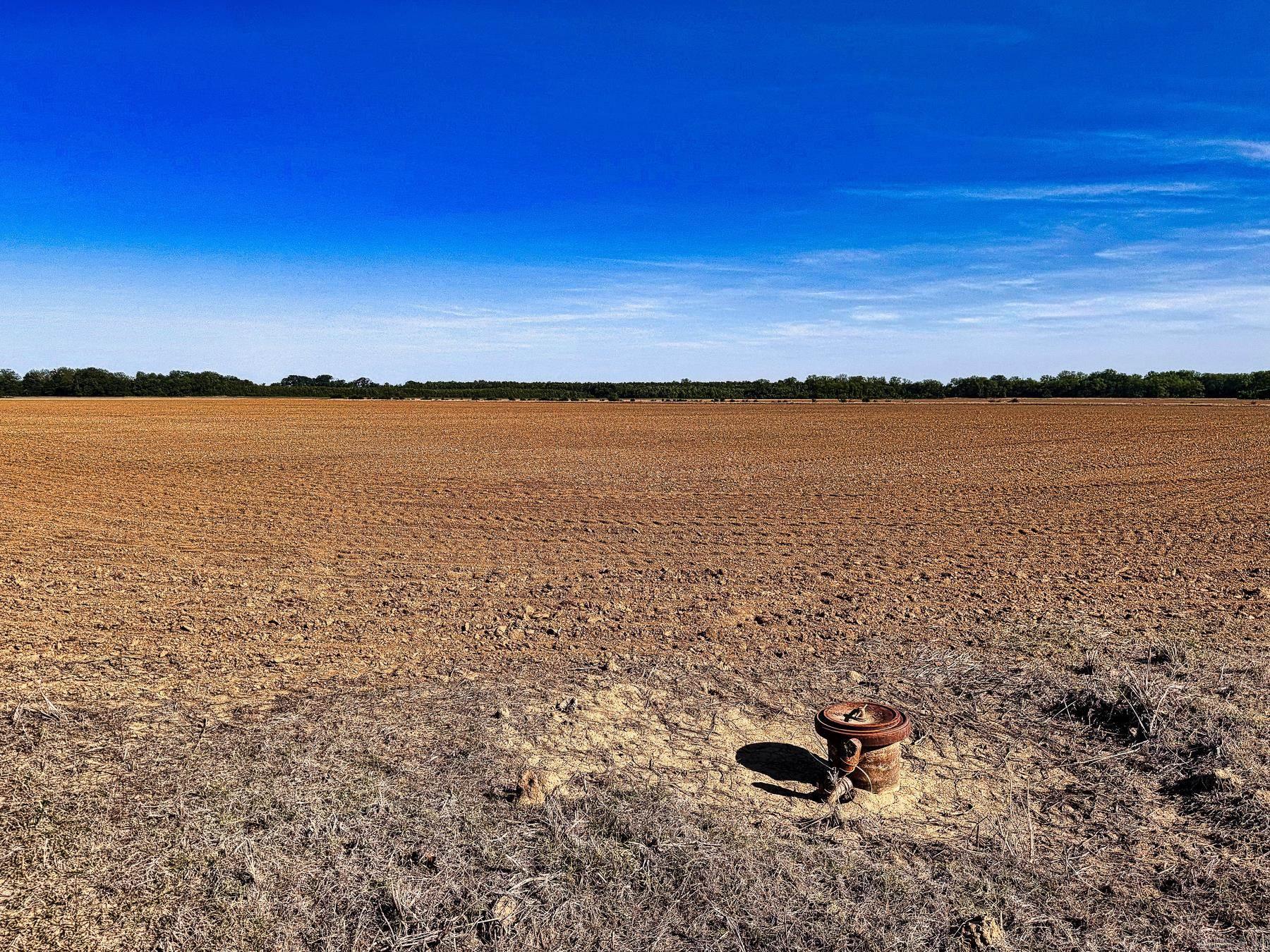 000 Arm Lake  Bradford, AR