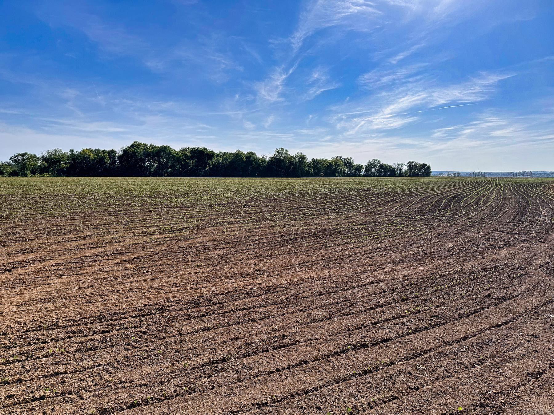 000 Arm Lake  Bradford, AR