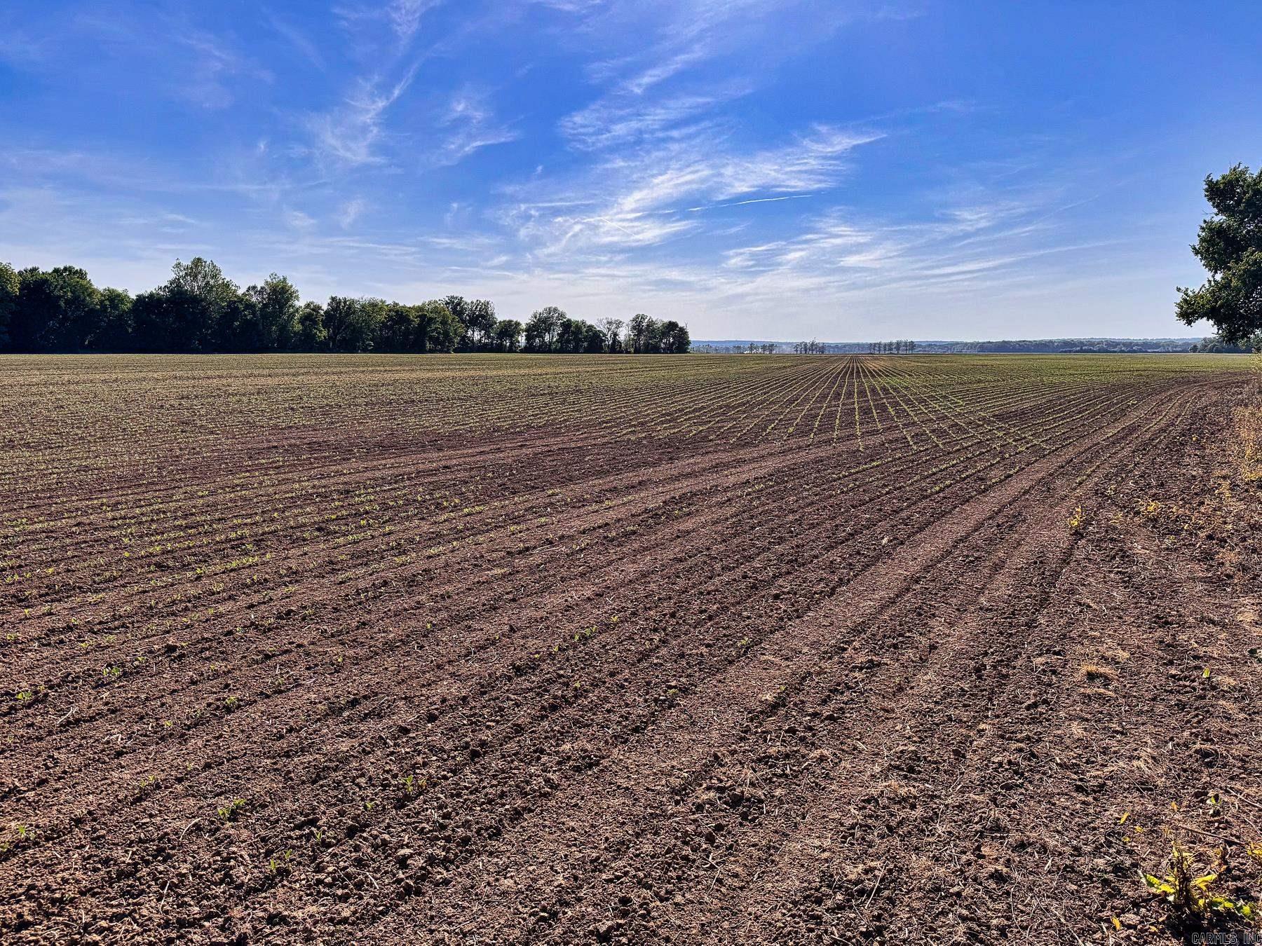 000 Arm Lake  Bradford, AR