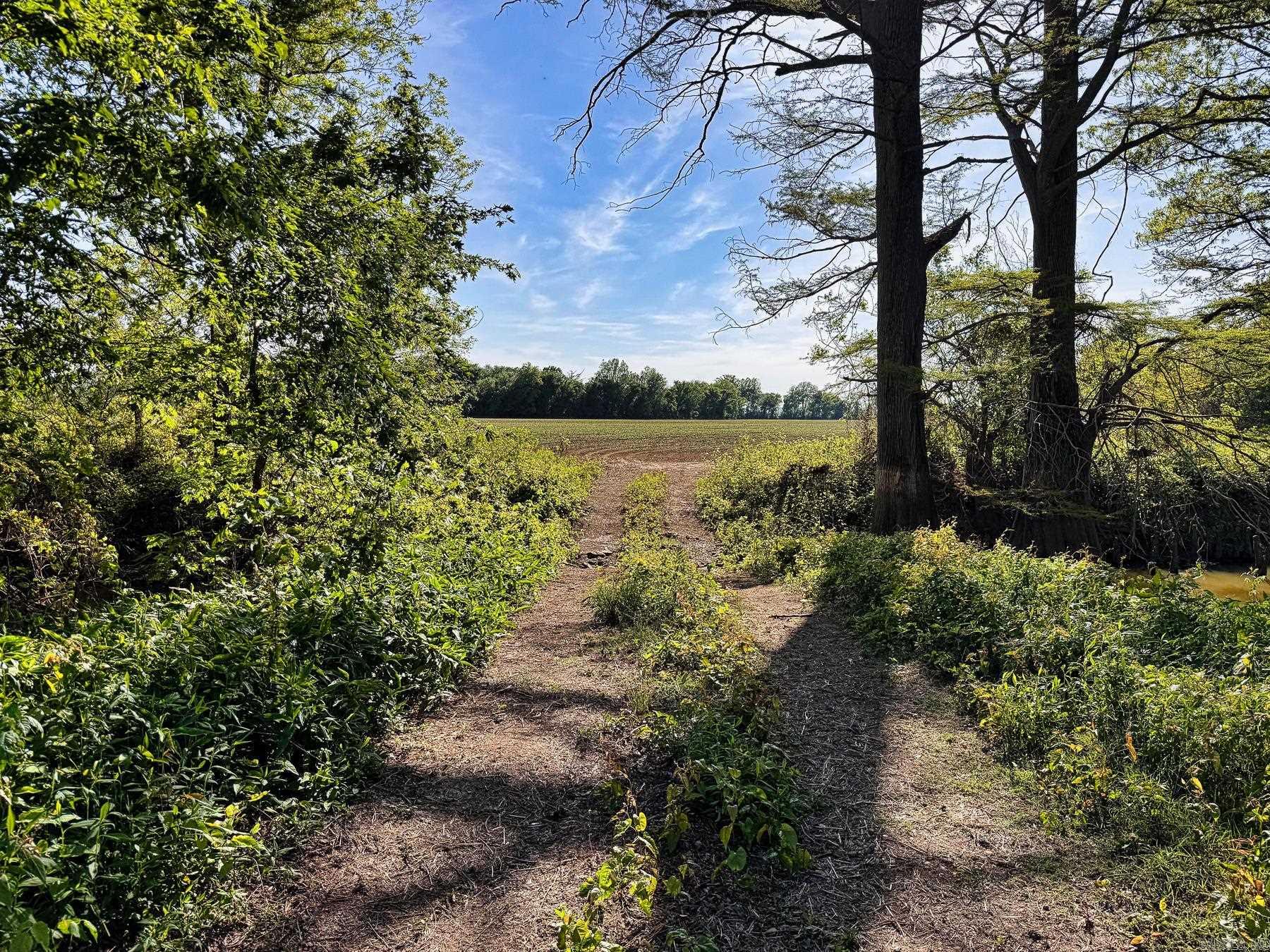 000 Arm Lake  Bradford, AR