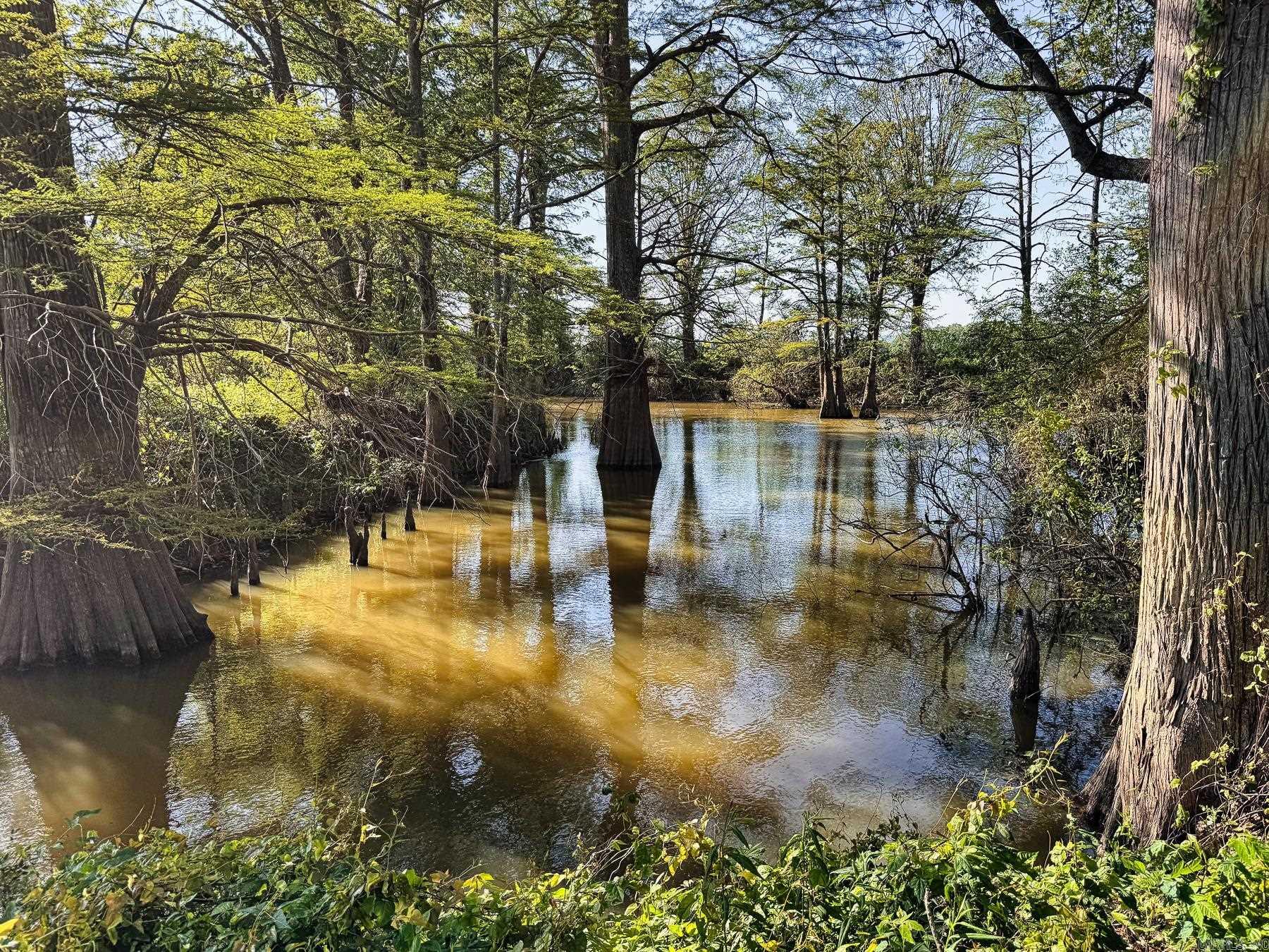 000 Arm Lake  Bradford, AR