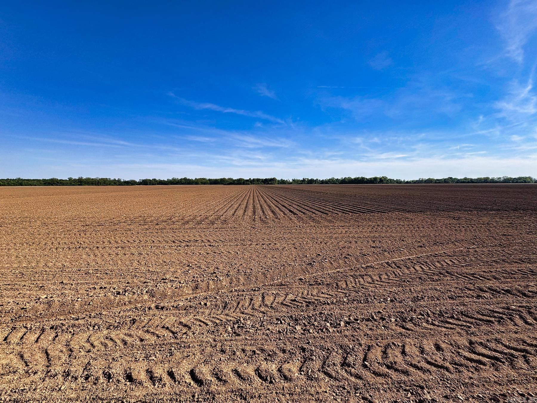 000 Arm Lake  Bradford, AR