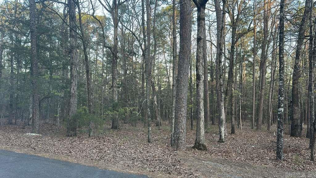 145 Lumberjack Ln  Fairfield Bay, AR