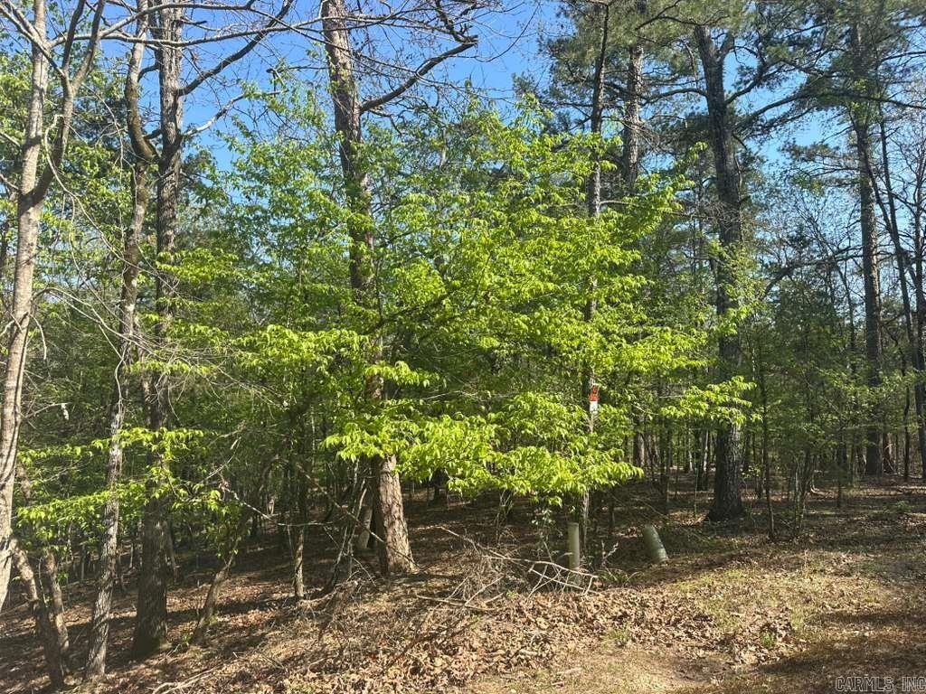 5 Saldana Way  Hot Springs Village, AR