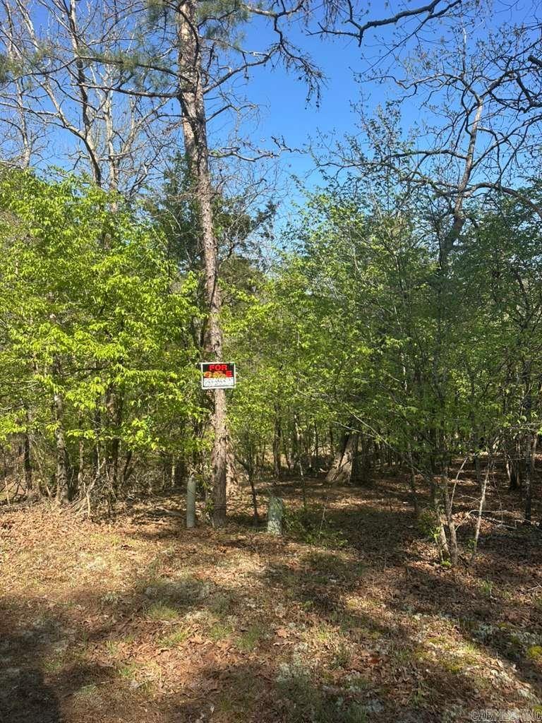 5 Saldana Way  Hot Springs Village, AR