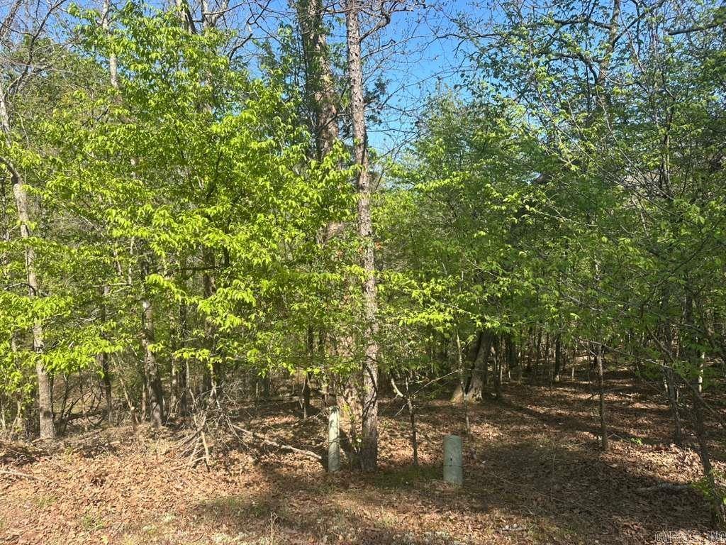 5 Saldana Way  Hot Springs Village, AR