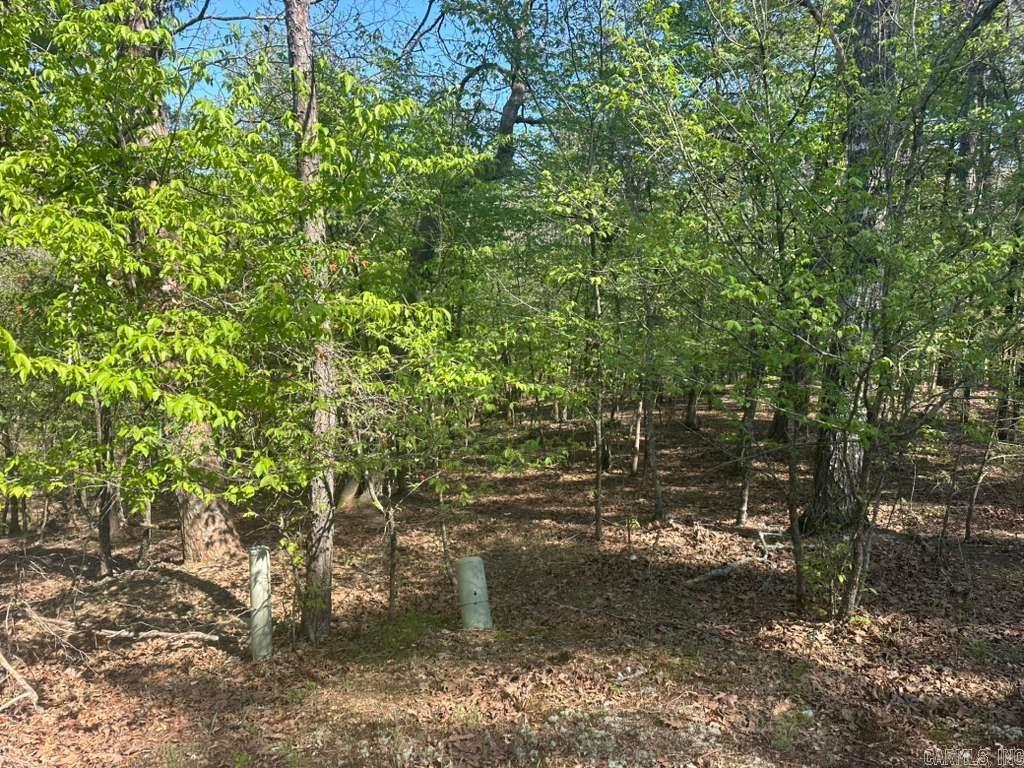 5 Saldana Way  Hot Springs Village, AR