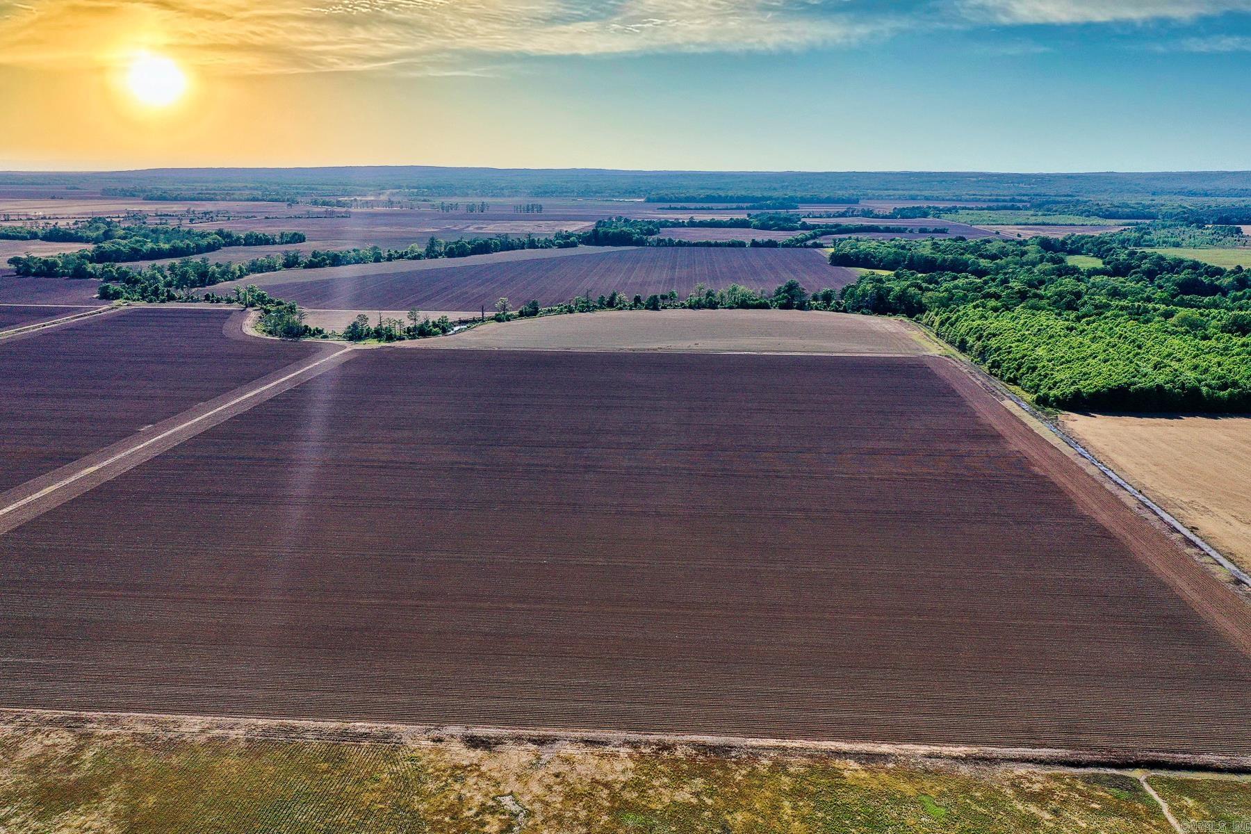 000 Pierce  Bradford, AR