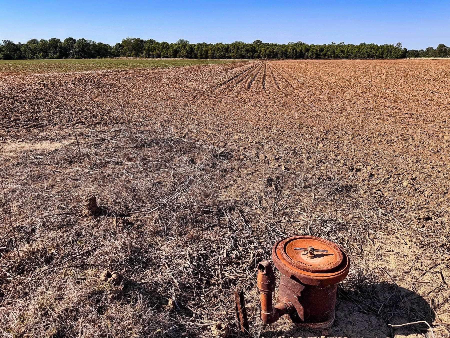 000 Pierce  Bradford, AR