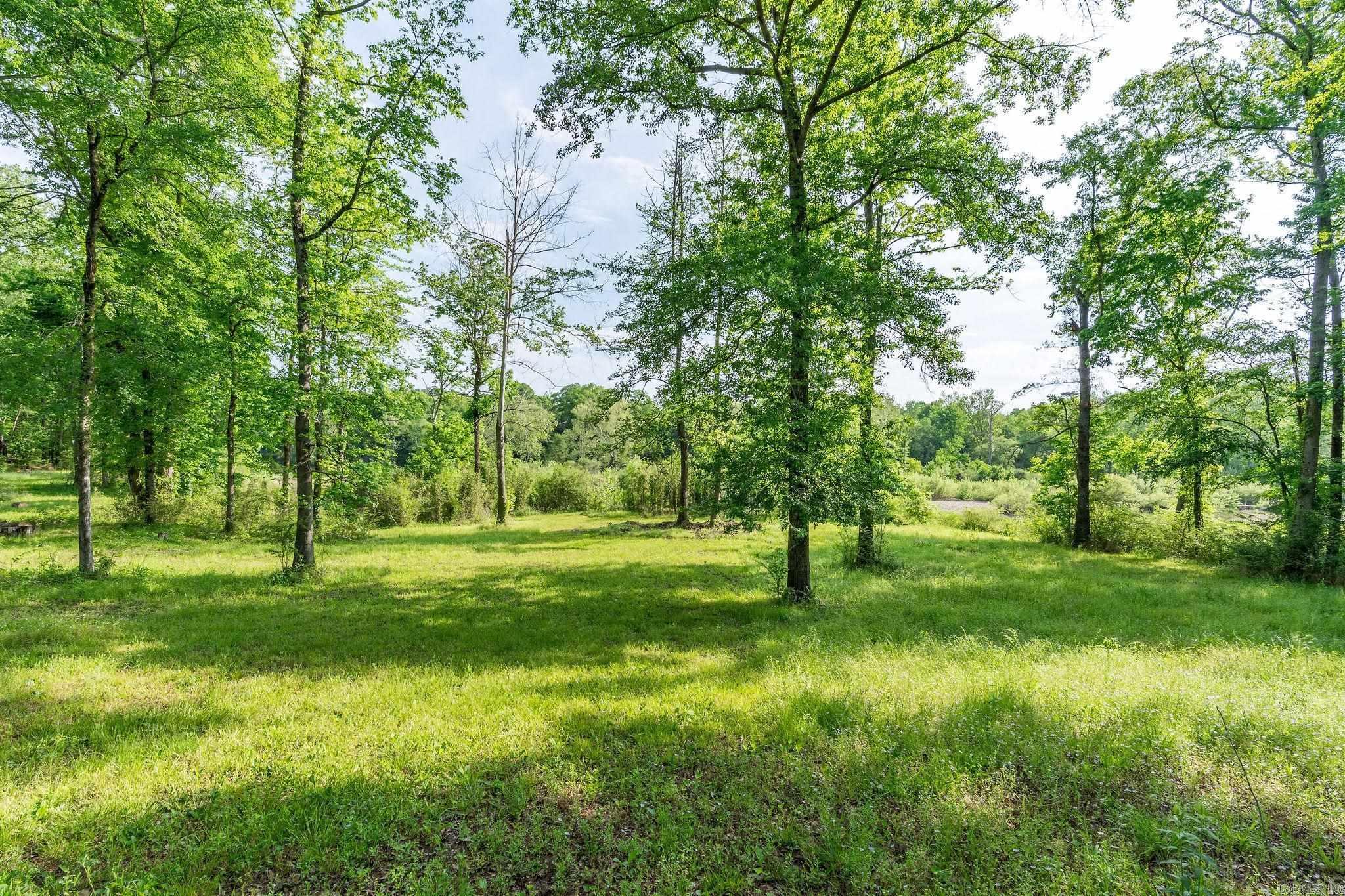 100 Old River Cabin  Amity, AR