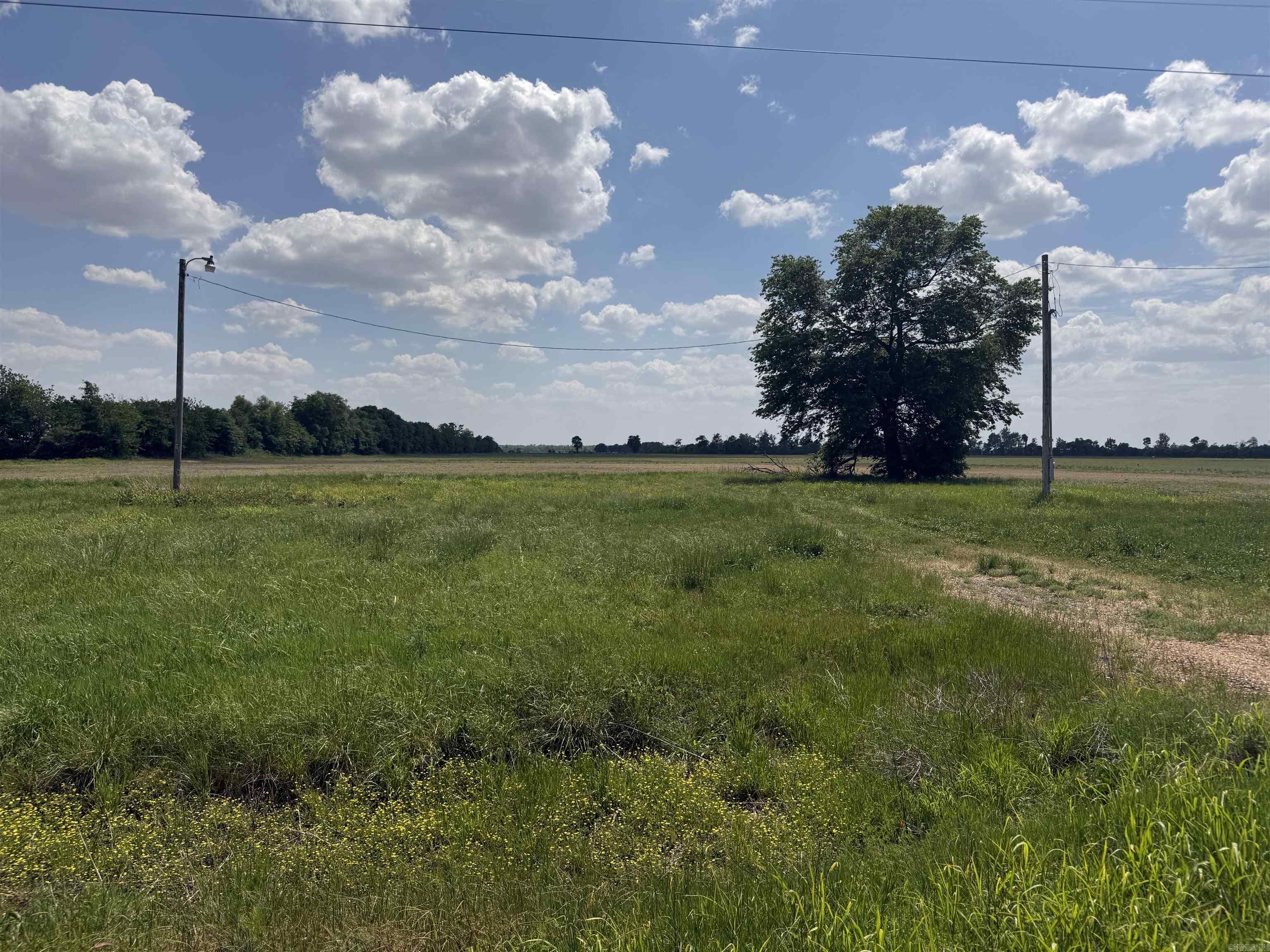 32474 North Rd  Marked Tree, AR