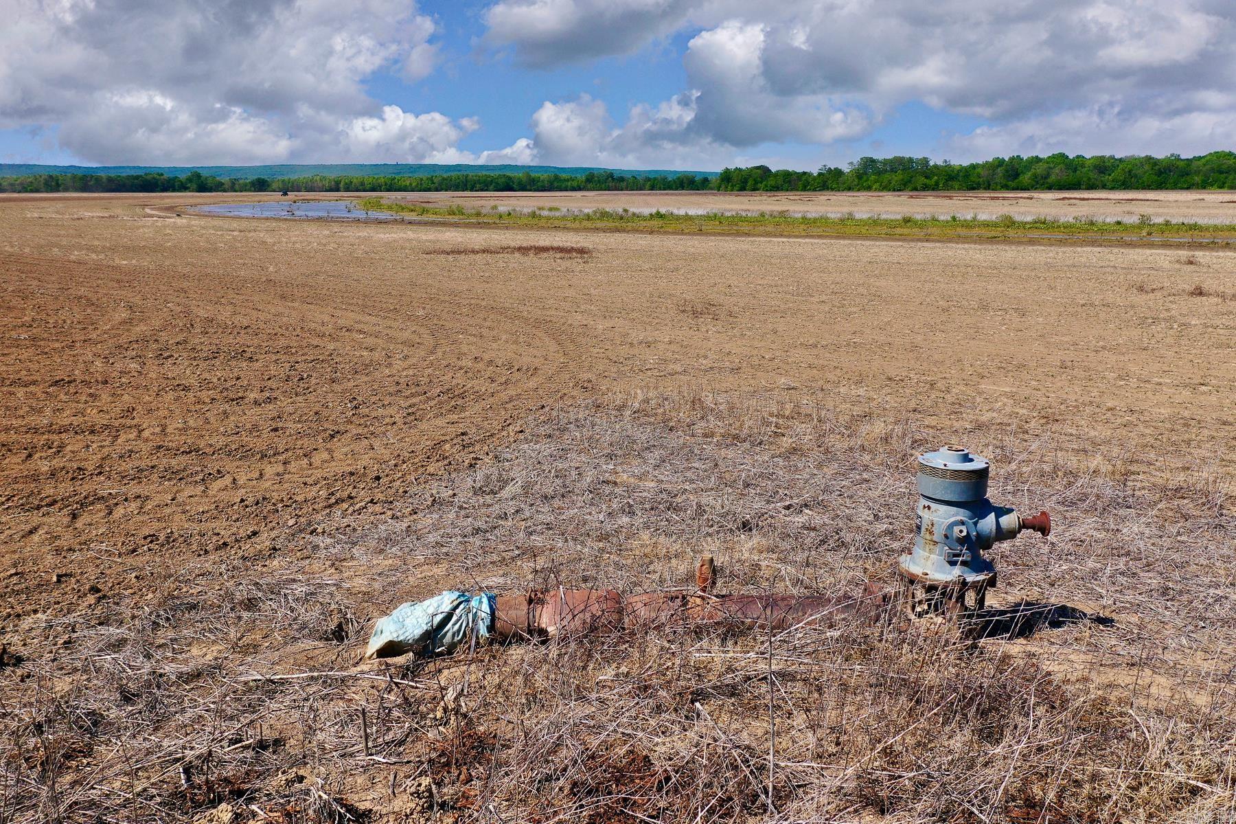 000 L and D Wells  Bradford, AR