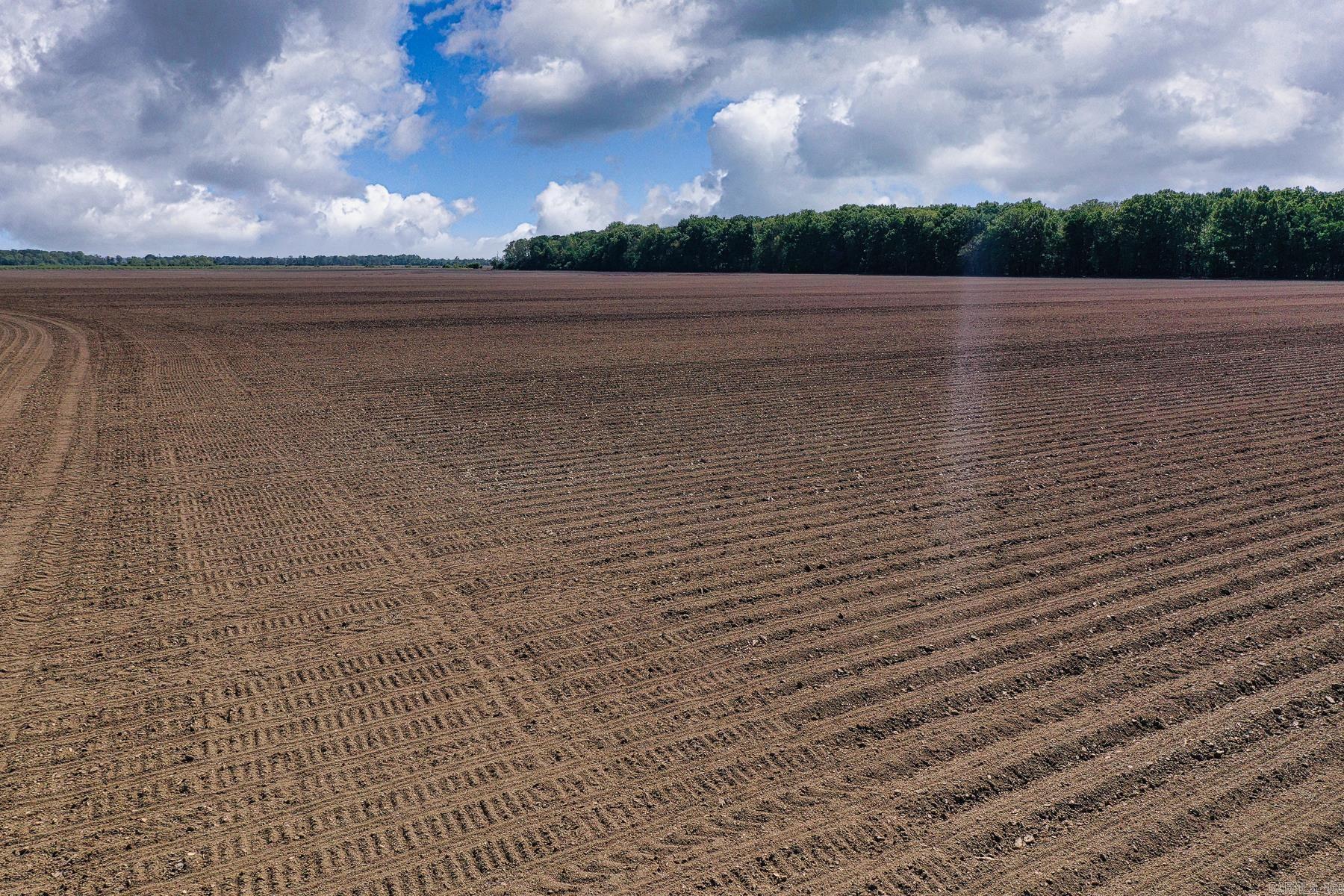 000 L and D Wells  Bradford, AR