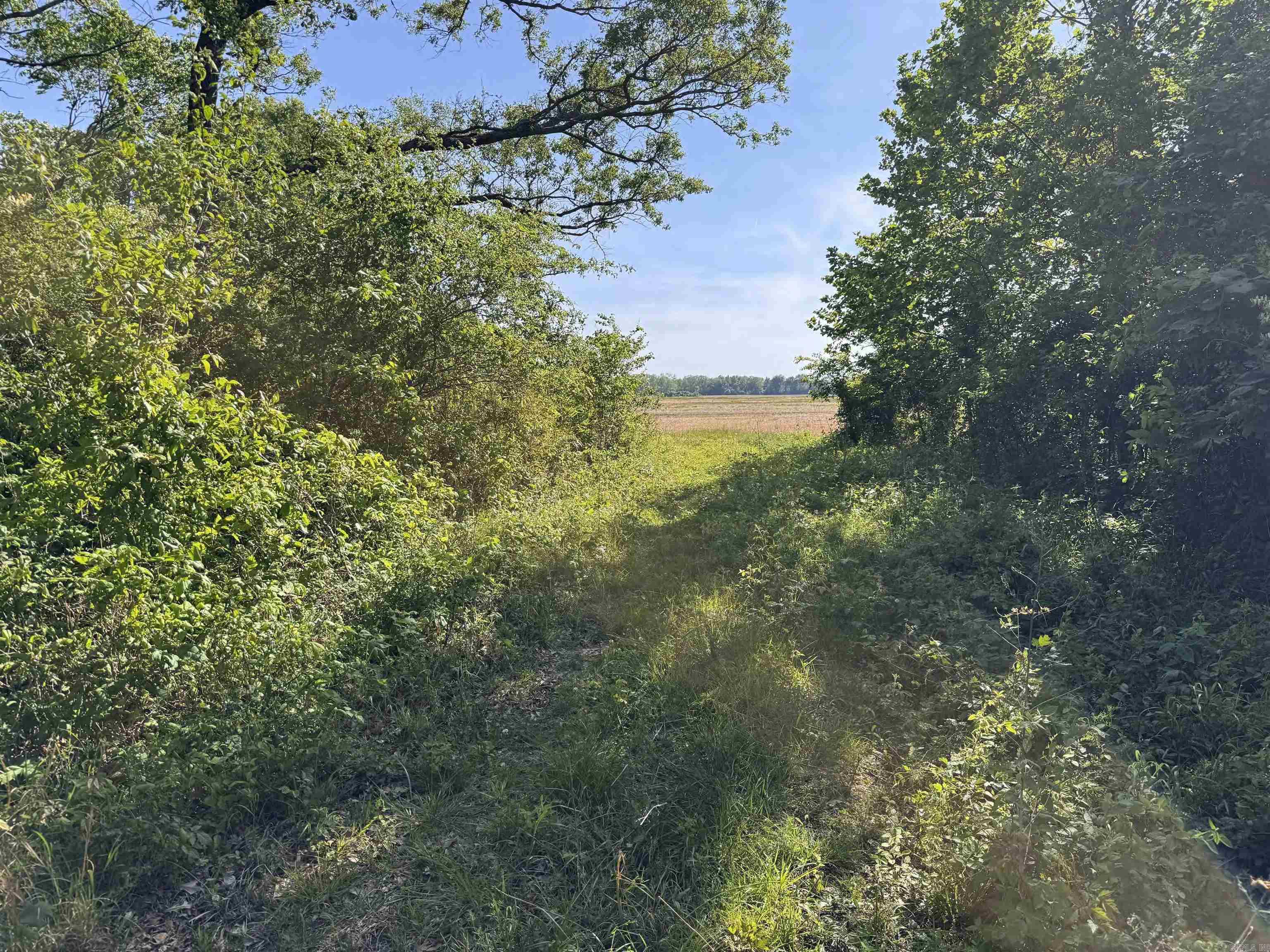 001 Arm Lake  Bradford, AR