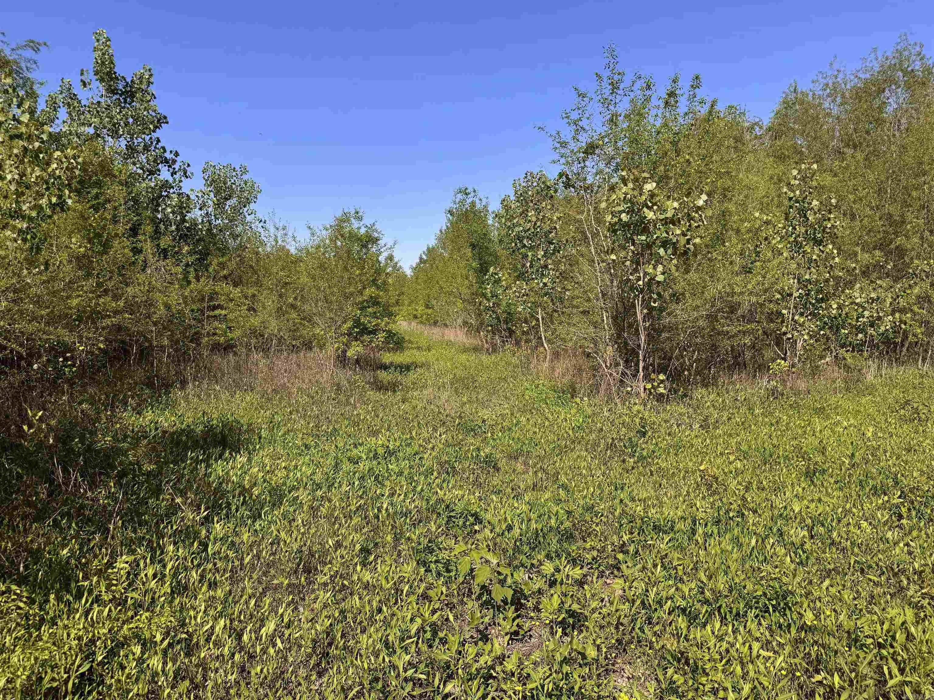 001 Arm Lake  Bradford, AR