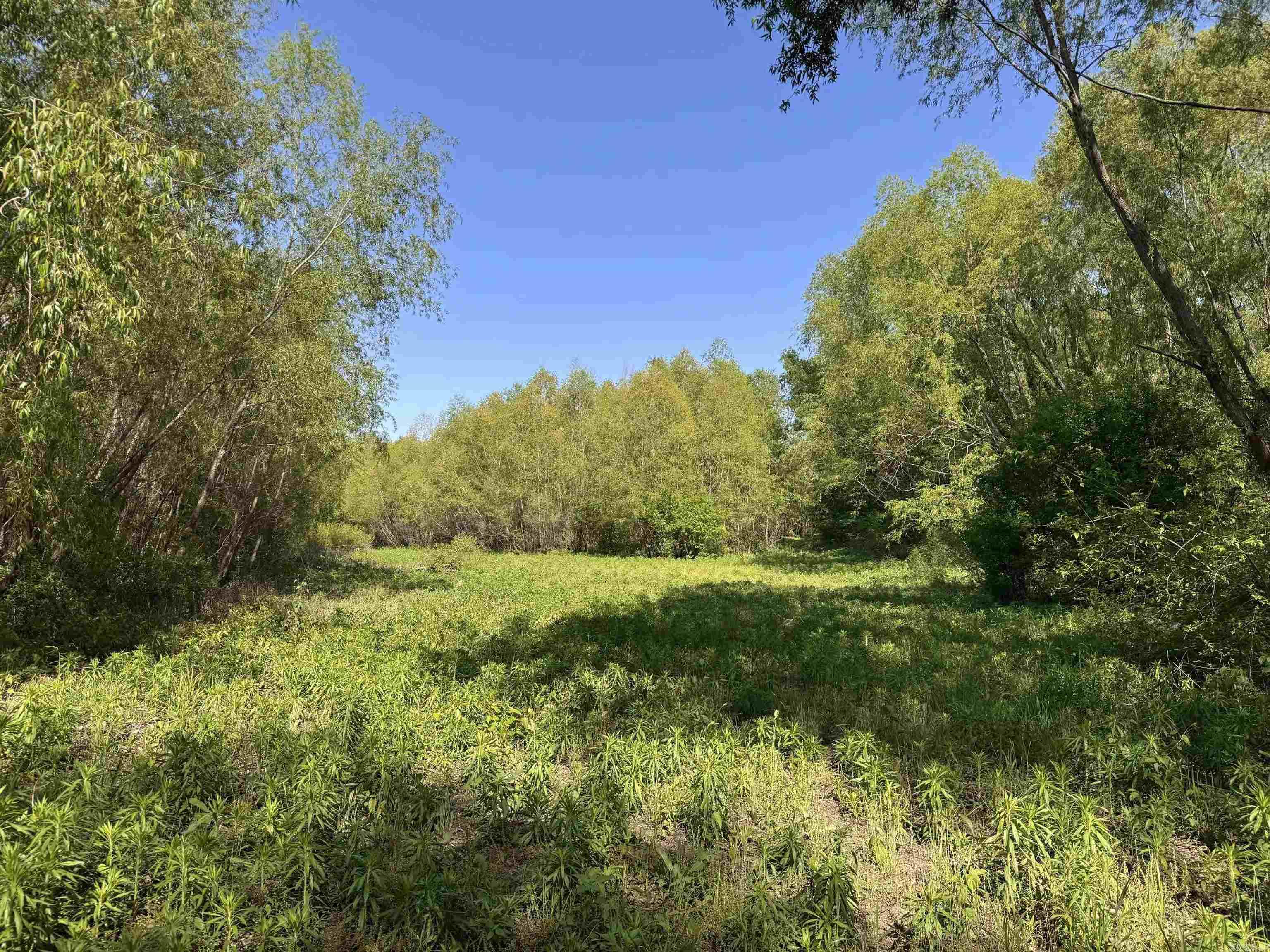 001 Arm Lake  Bradford, AR