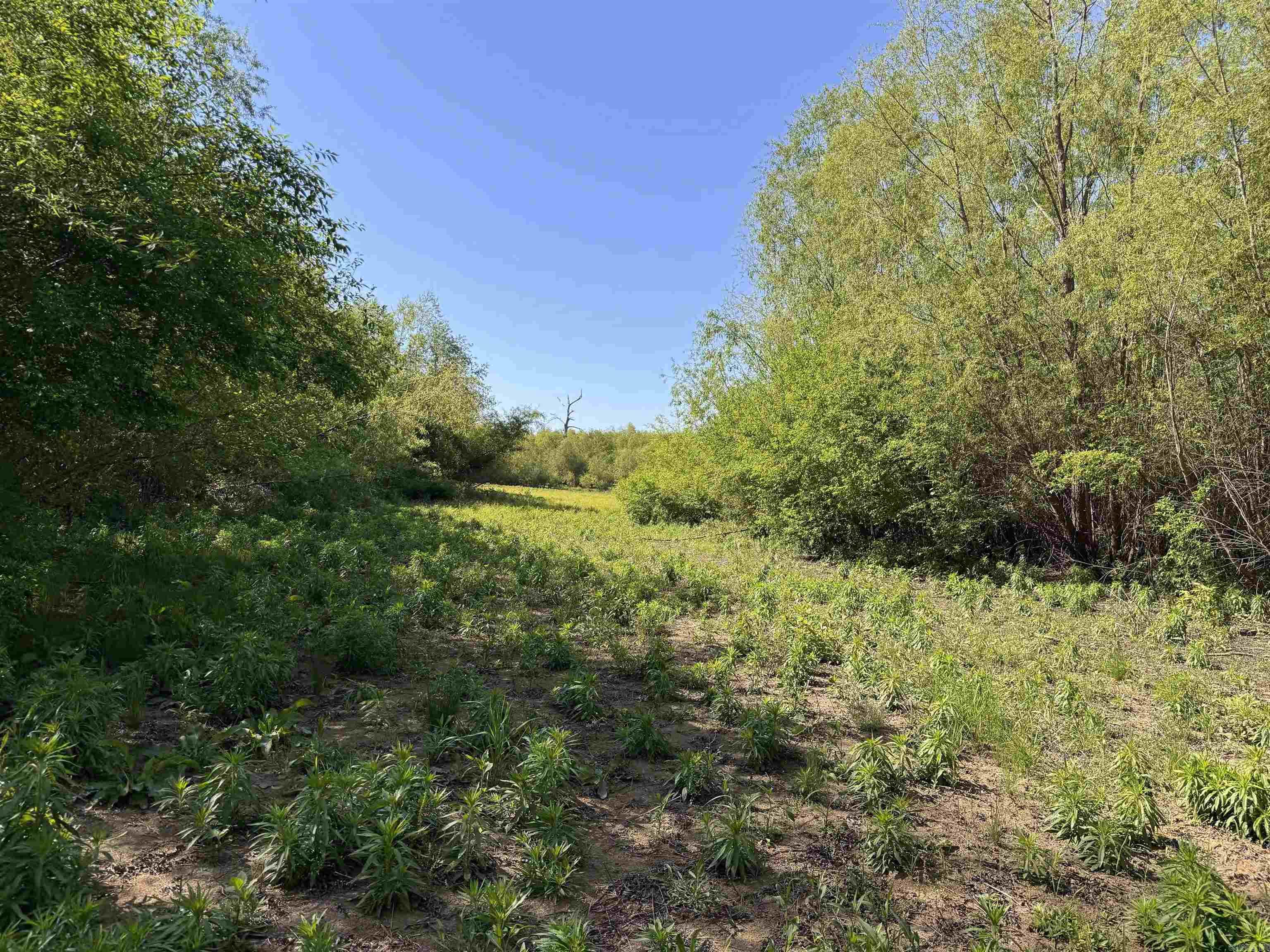 001 Arm Lake  Bradford, AR